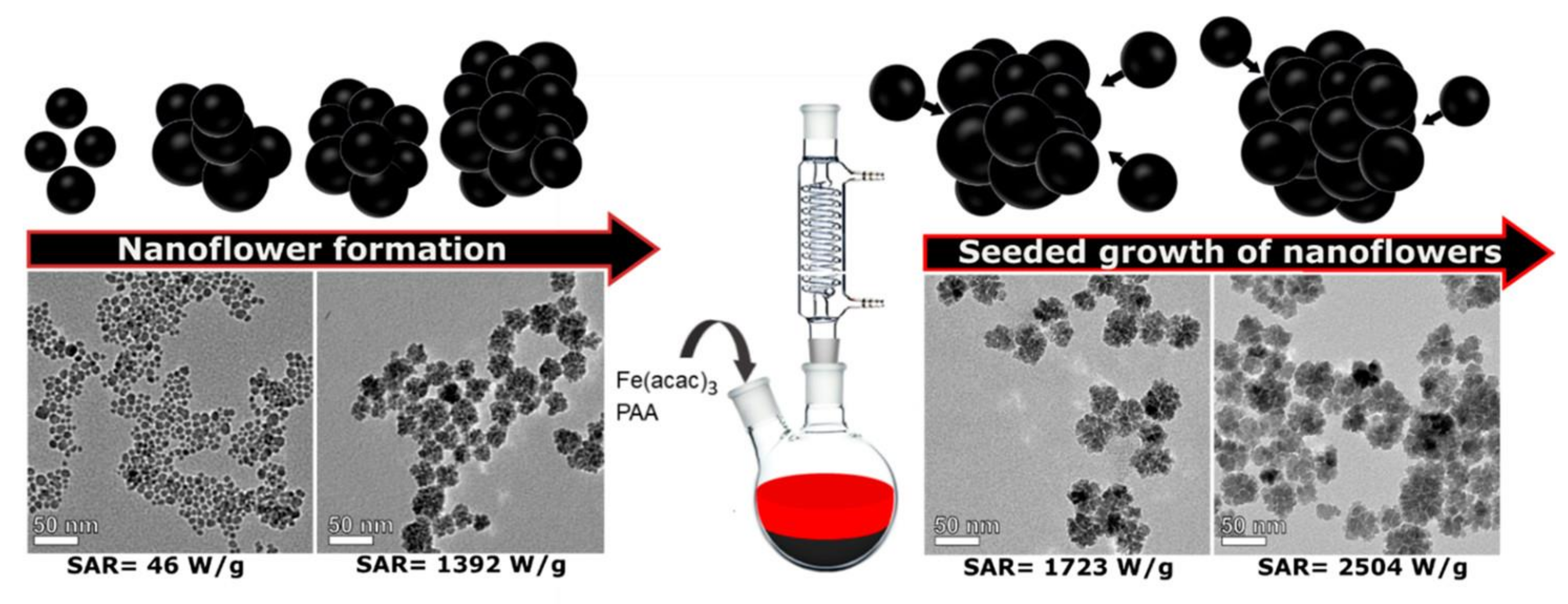Applsci 14 11294 g005