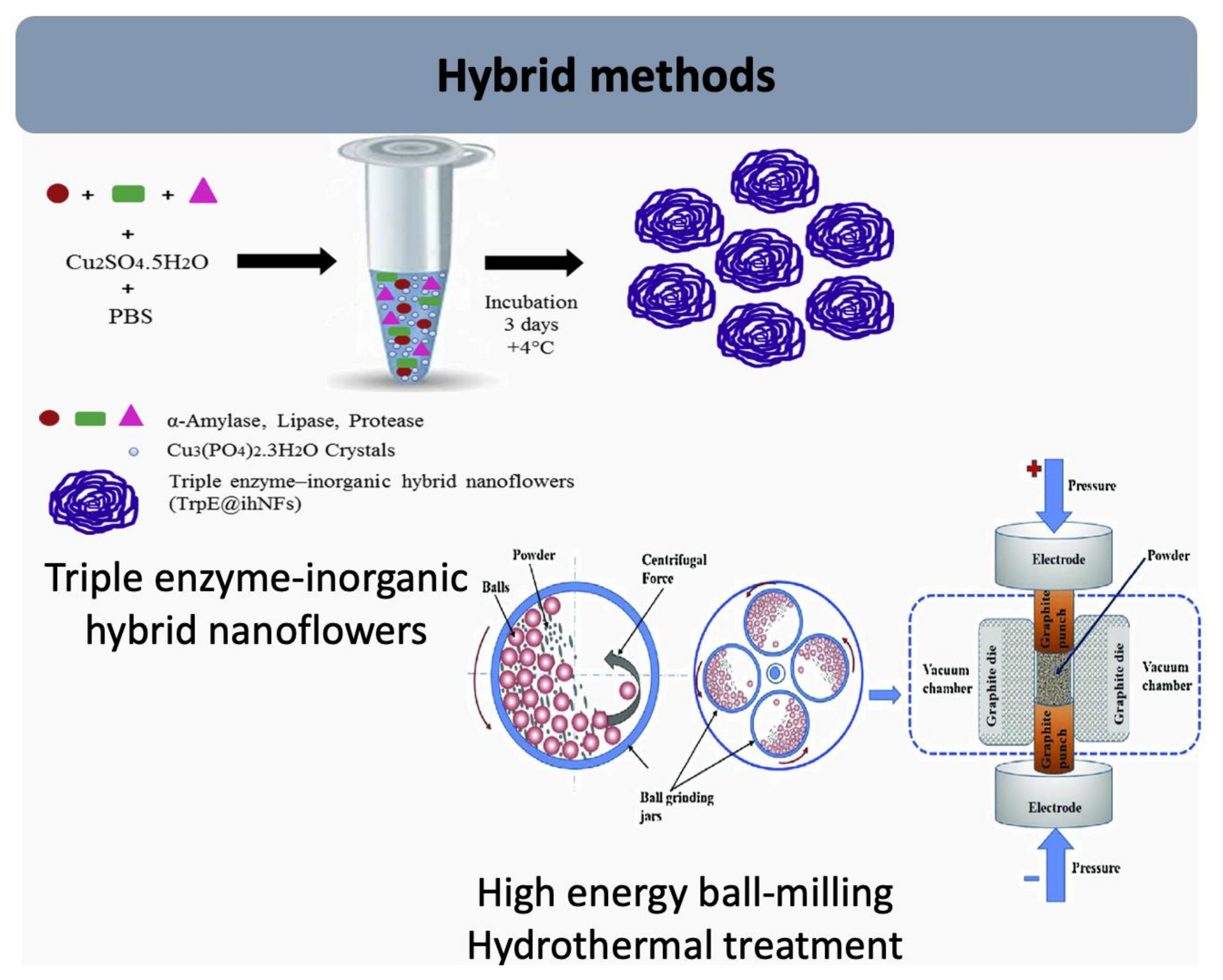 Applsci 14 11294 g007