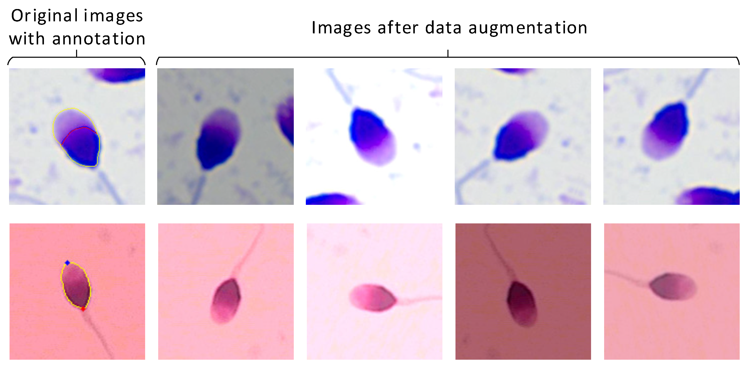 Applsci 14 11303 g003