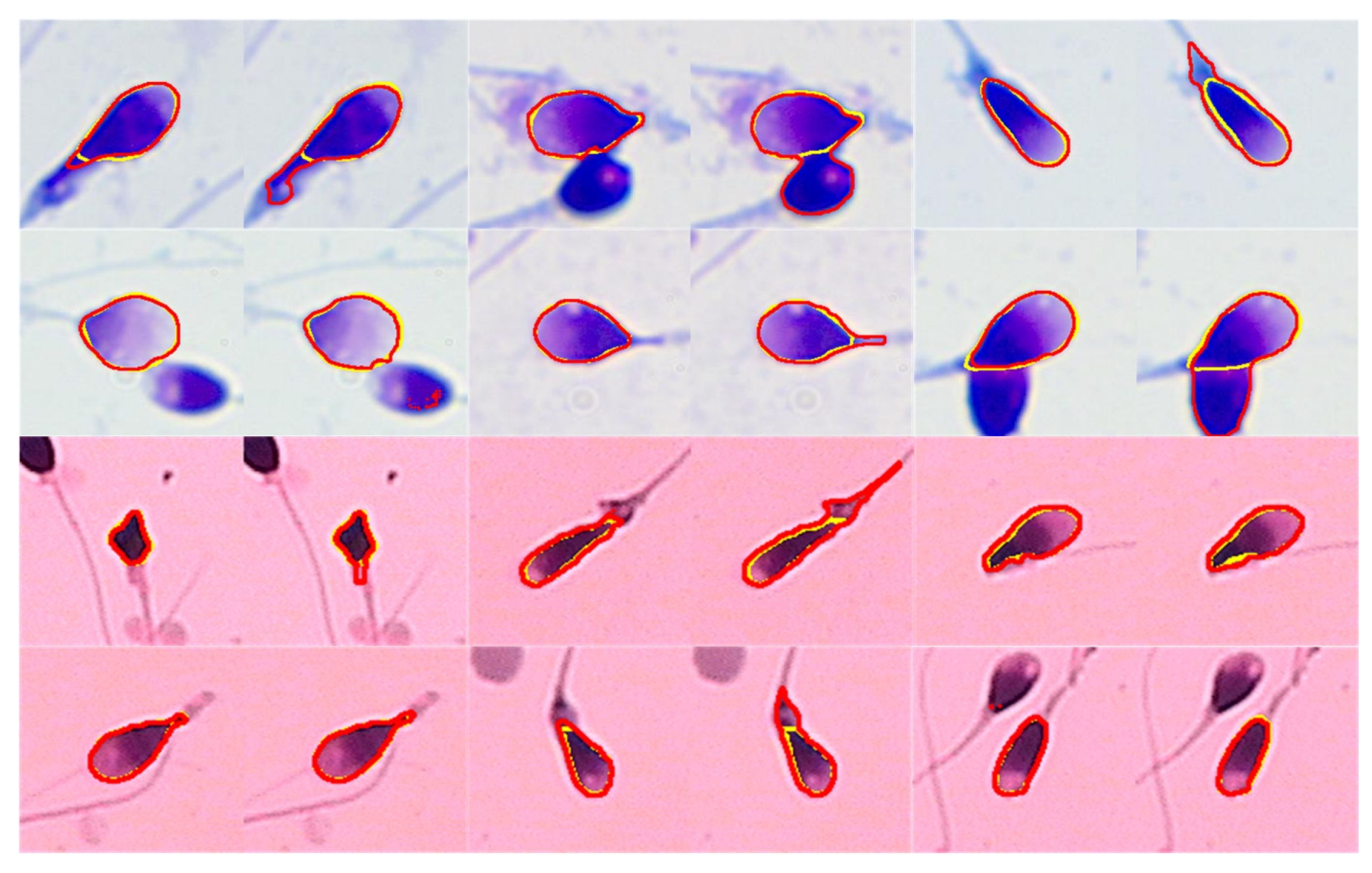 Applsci 14 11303 g007