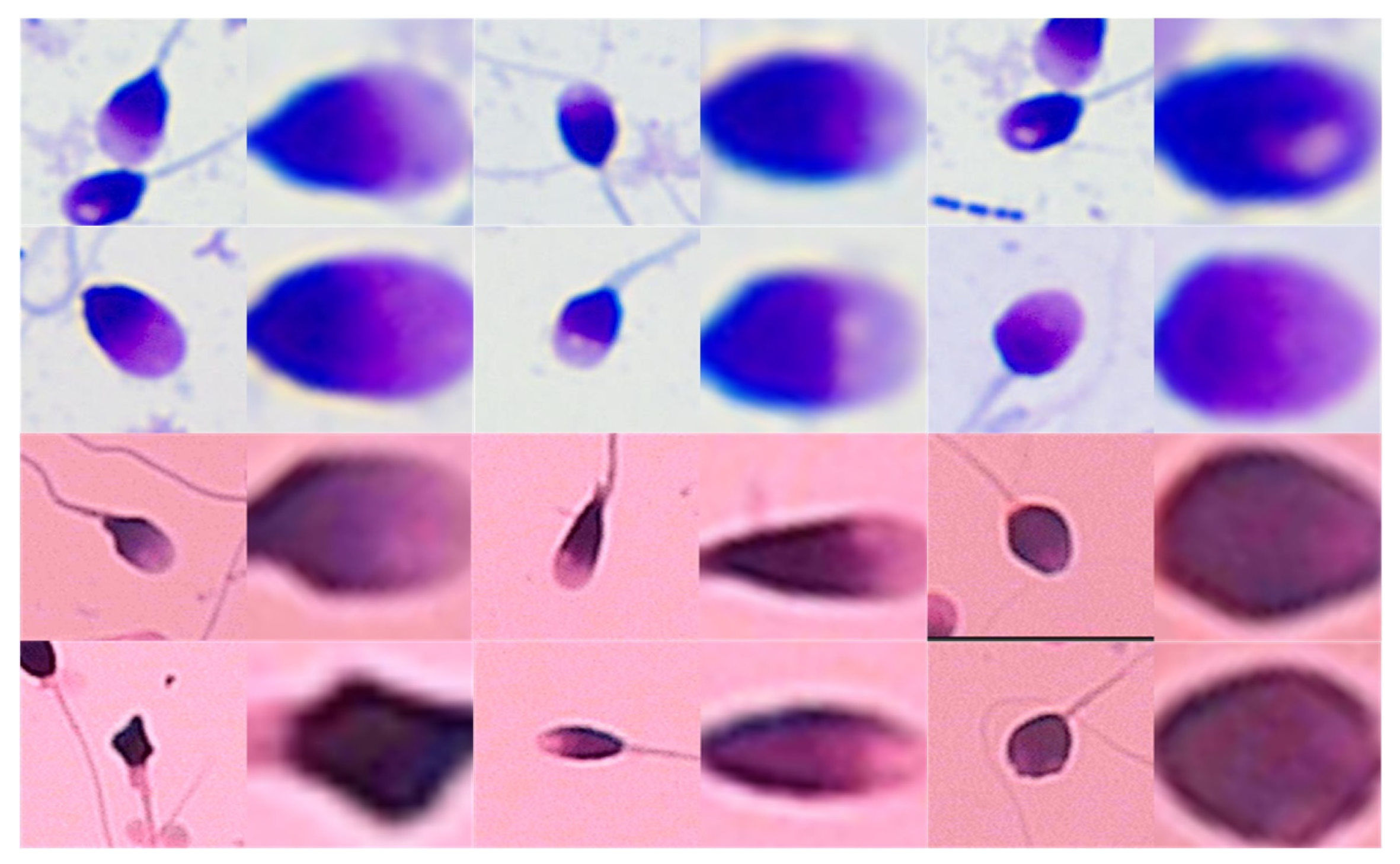 Applsci 14 11303 g009