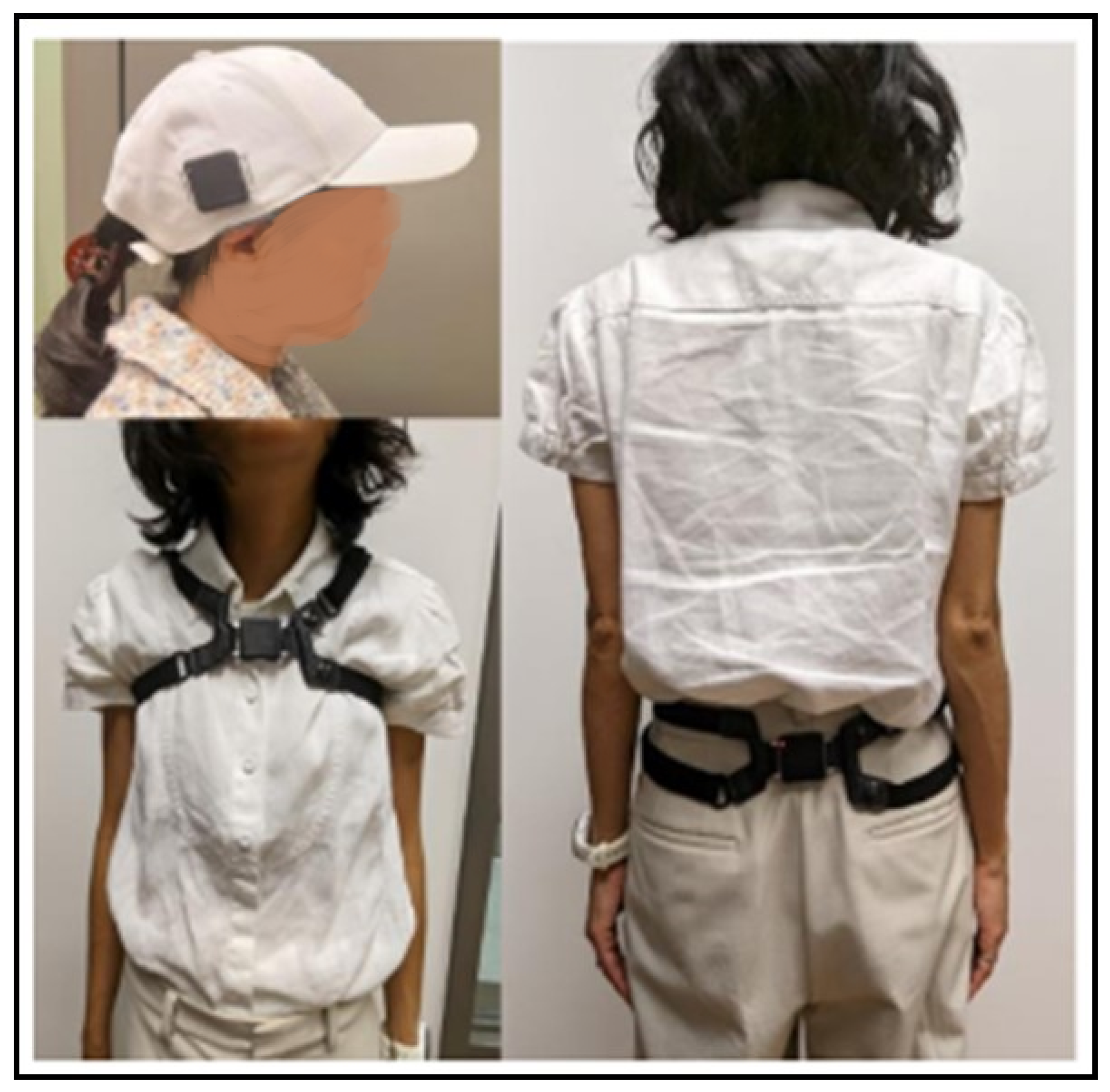 Applsci 14 11312 g001