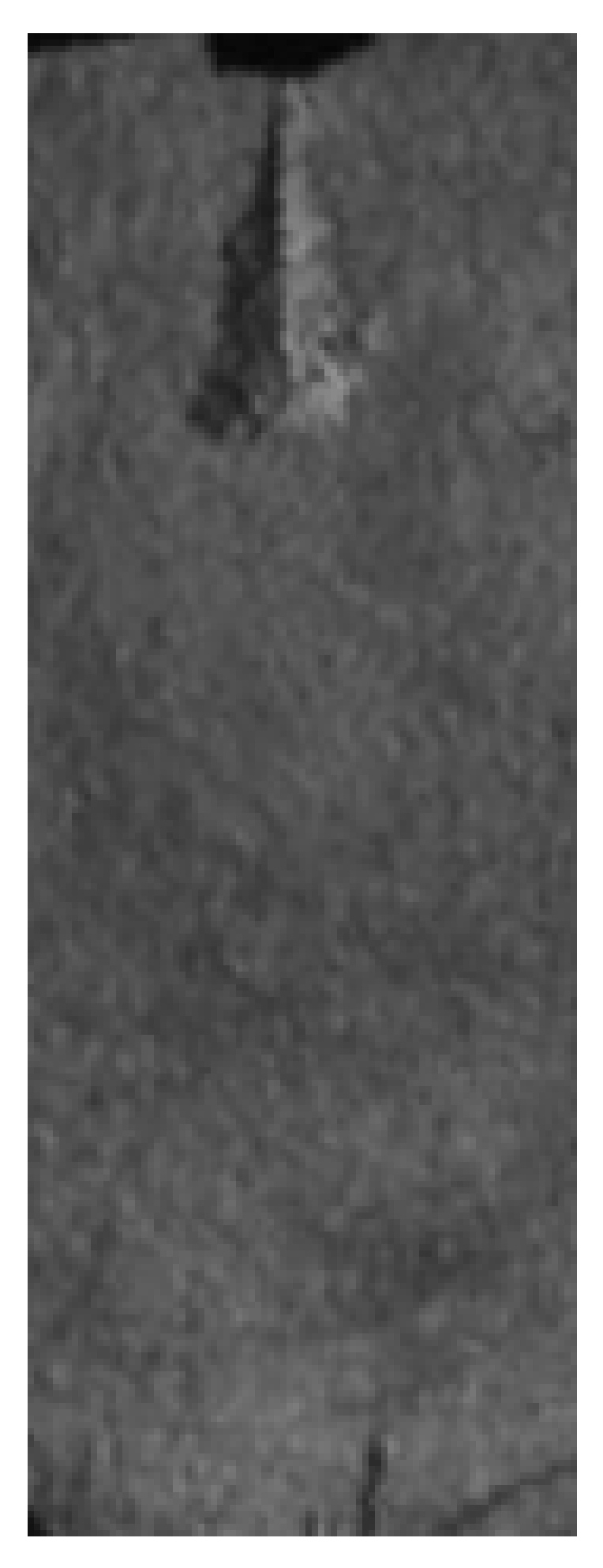 Applsci 14 11317 i003