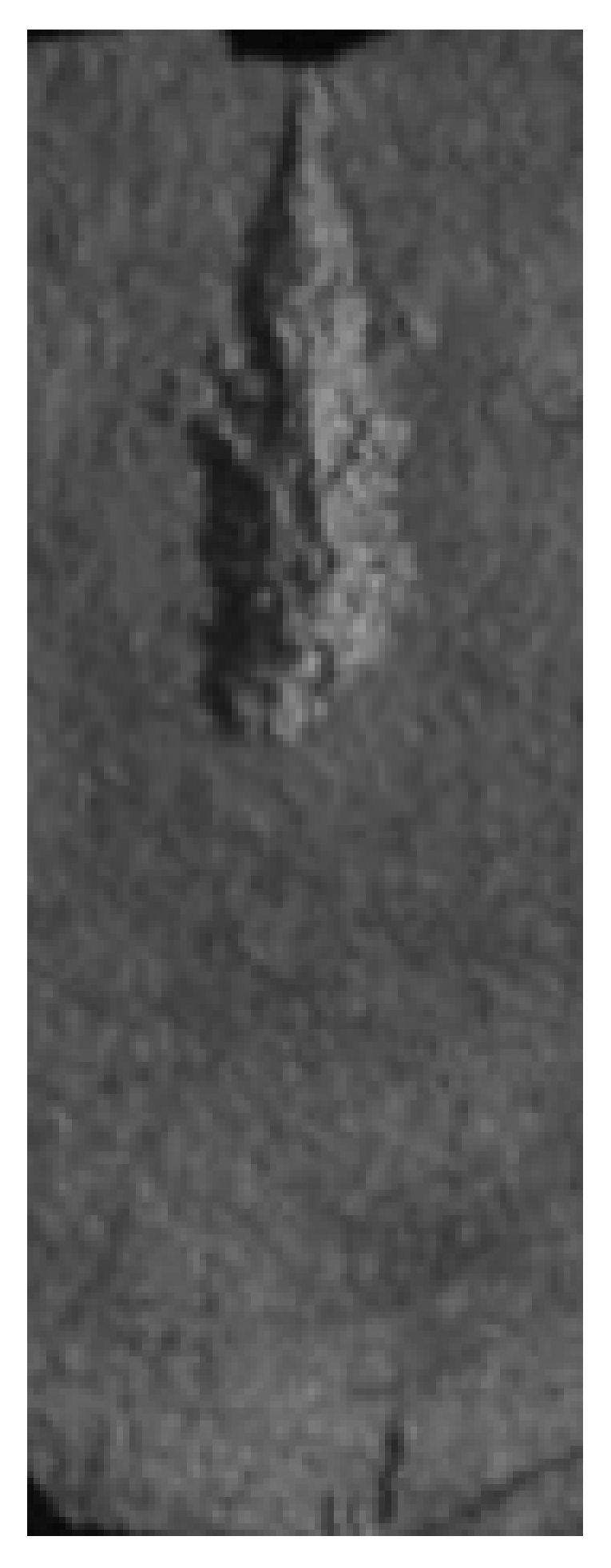 Applsci 14 11317 i008