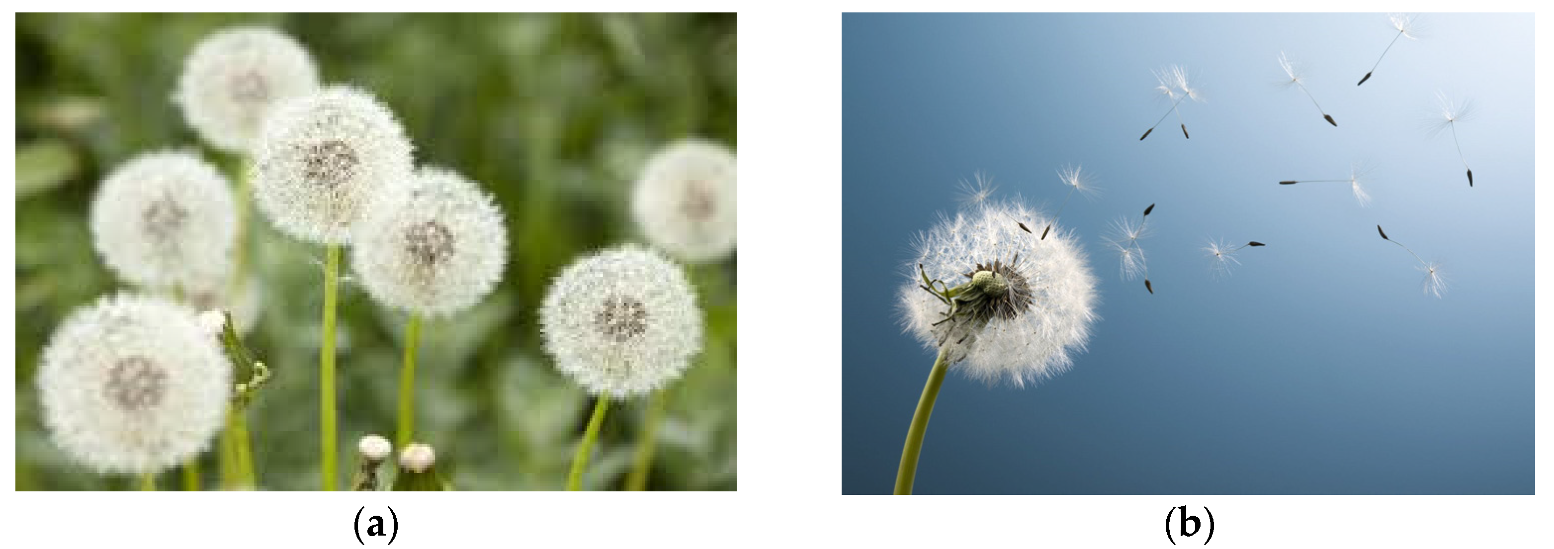 Applsci 14 11320 g008