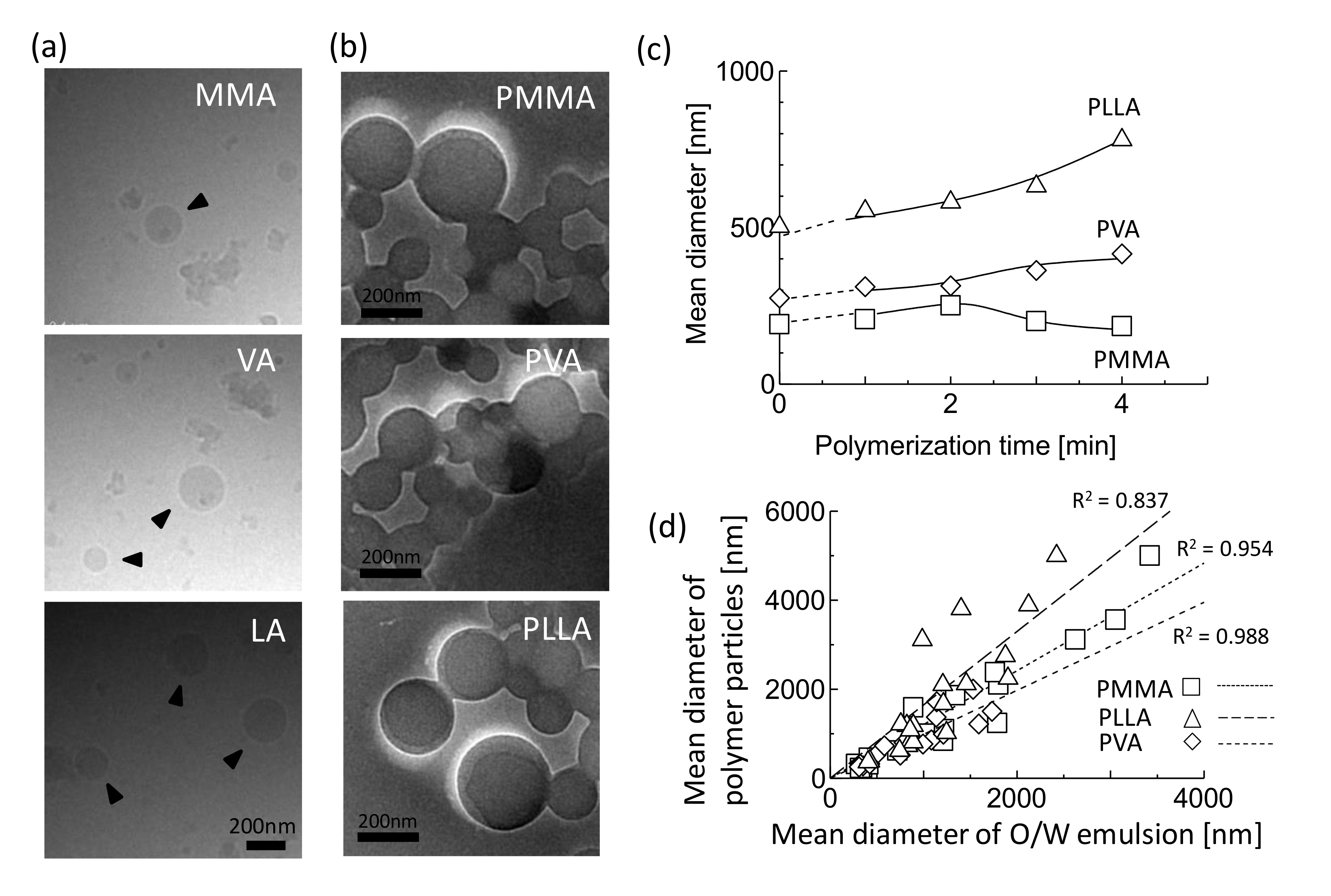 Applsci 14 11326 g003 Applsci 14 11326 g003