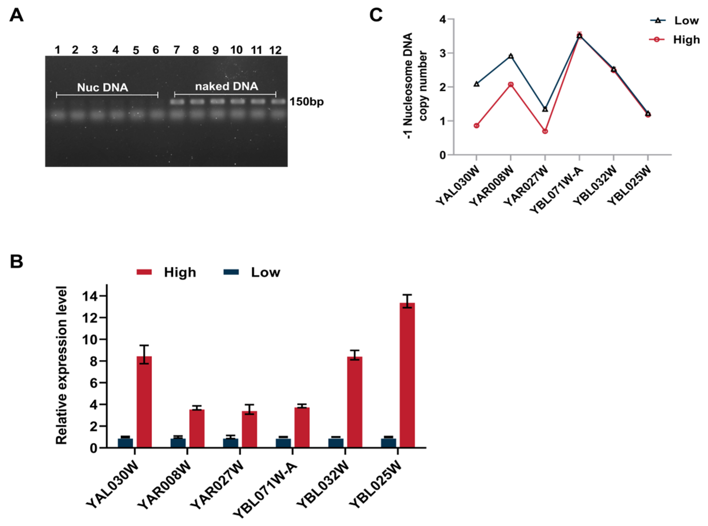 Applsci 14 11339 g003