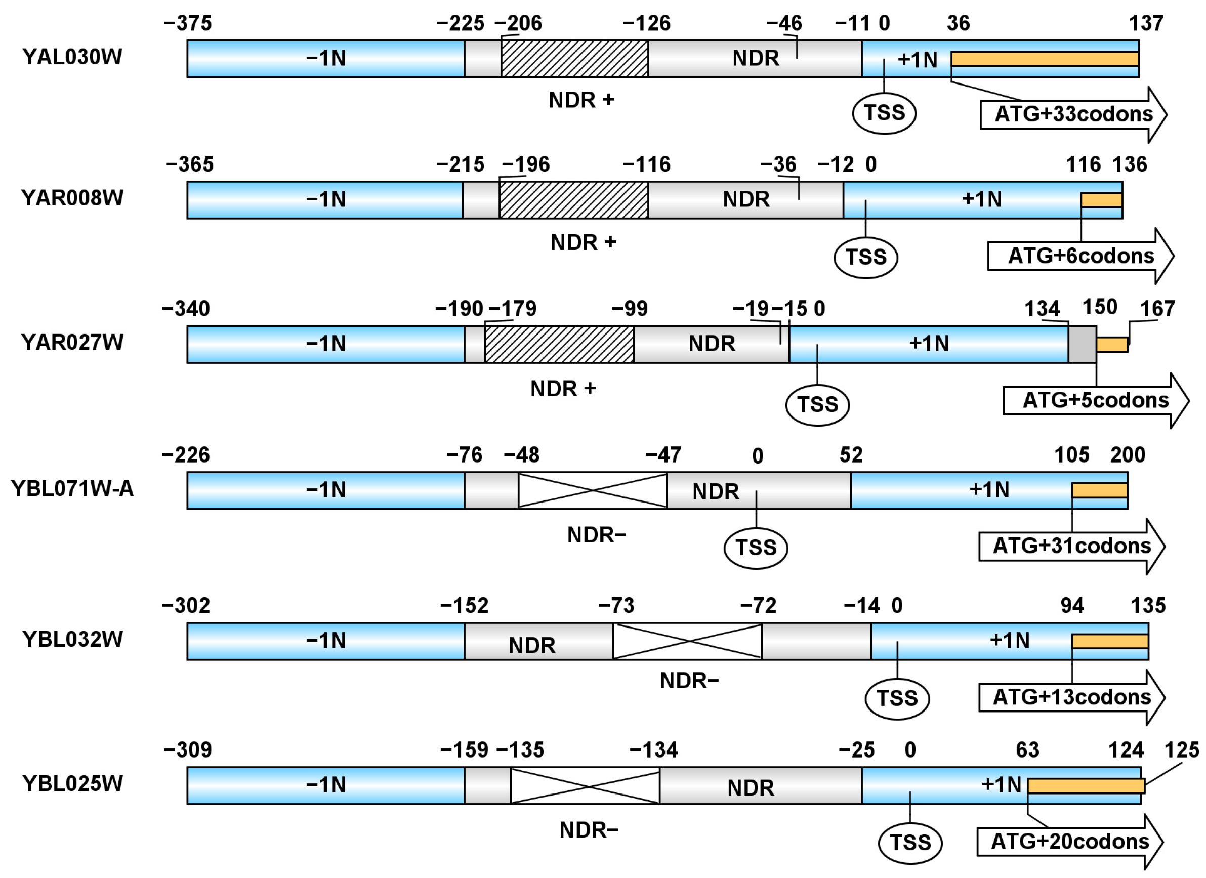 Applsci 14 11339 g004