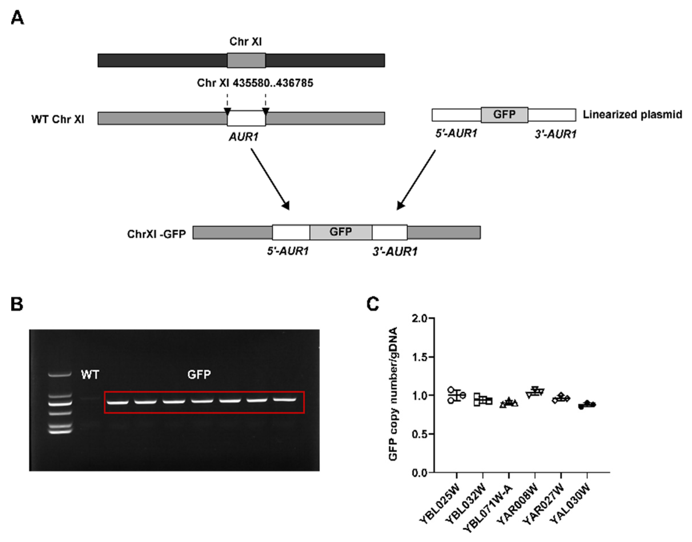 Applsci 14 11339 g005