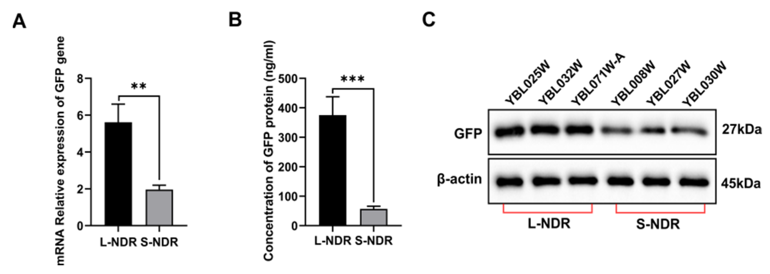 Applsci 14 11339 g006