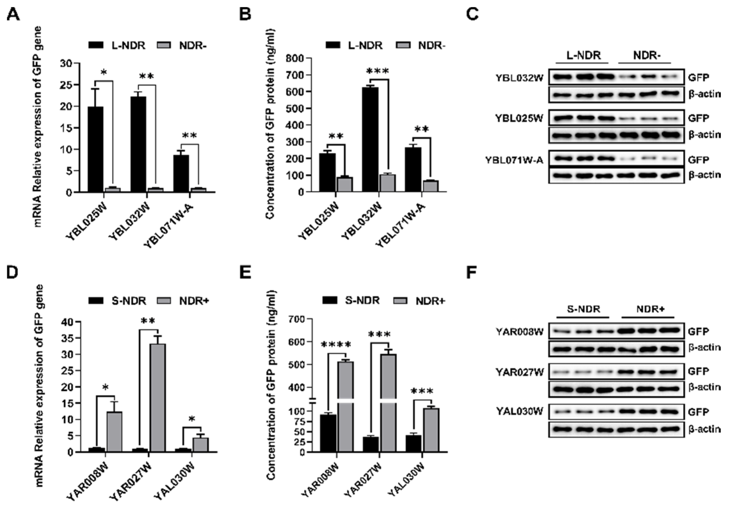 Applsci 14 11339 g007