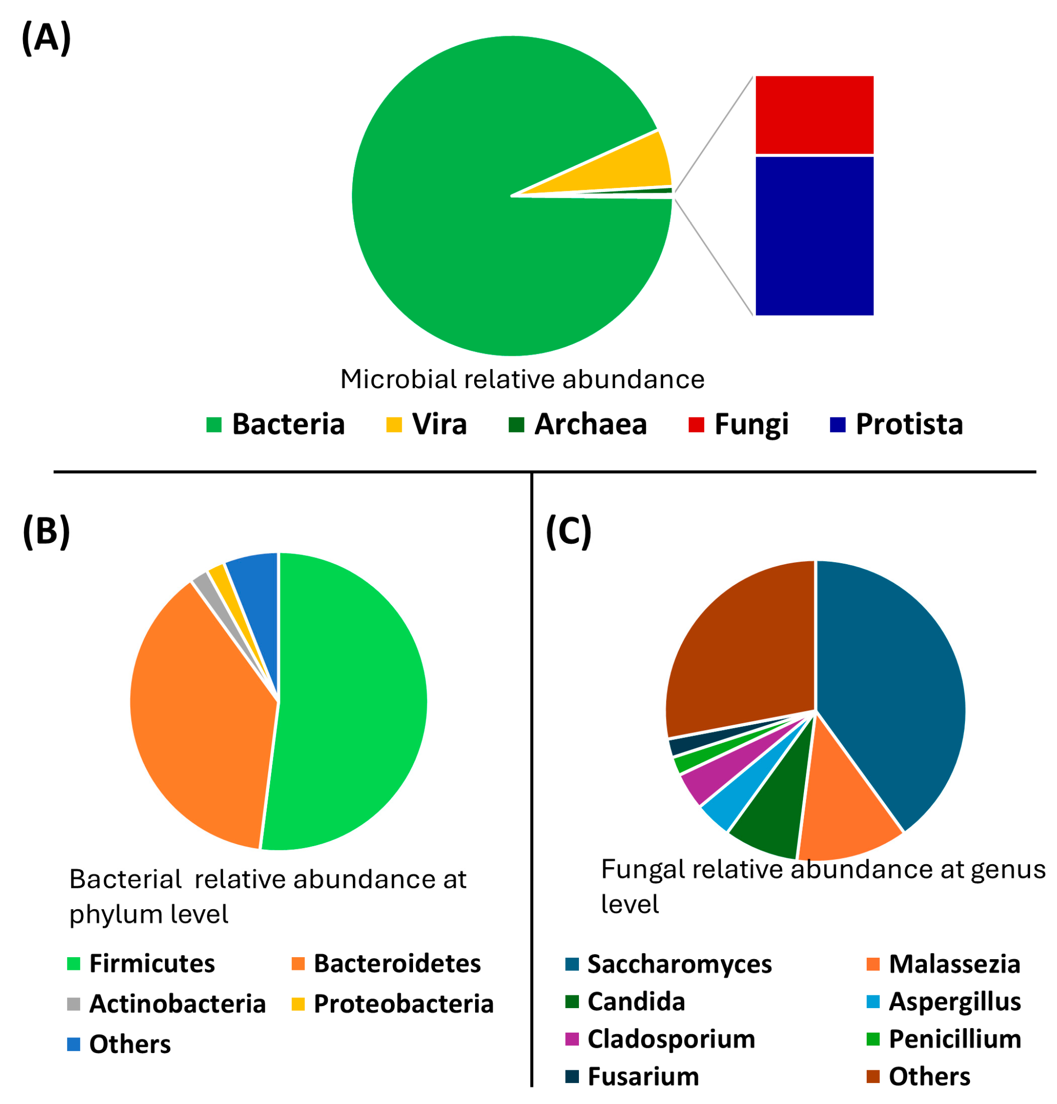 Applsci 14 11354 g002