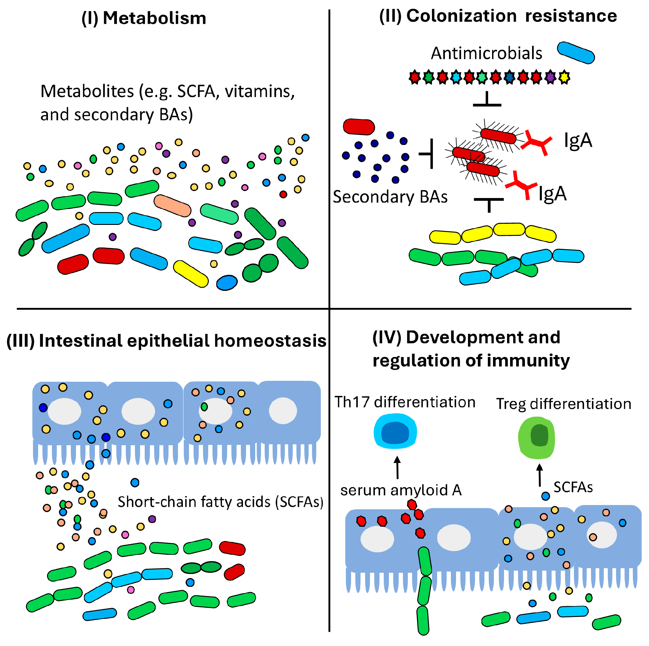 Applsci 14 11354 g003