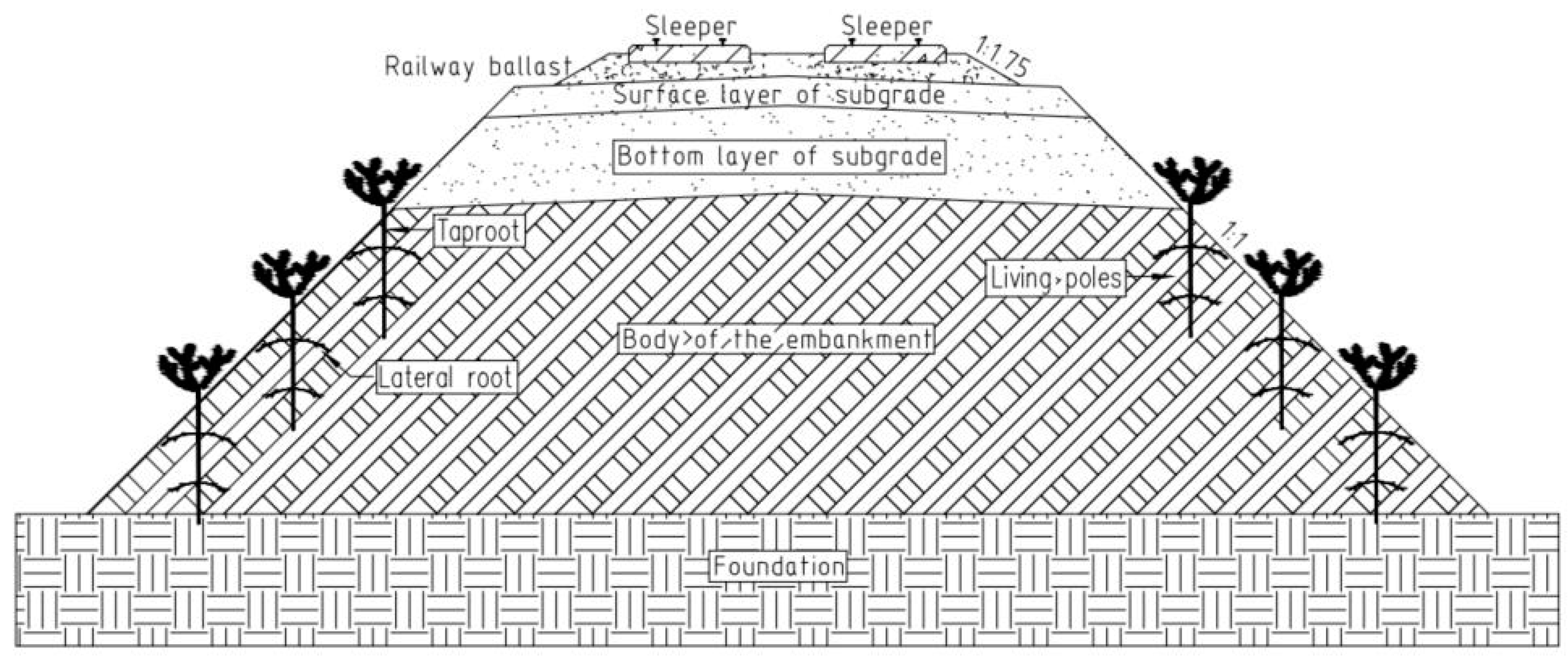 Applsci 14 11355 g001