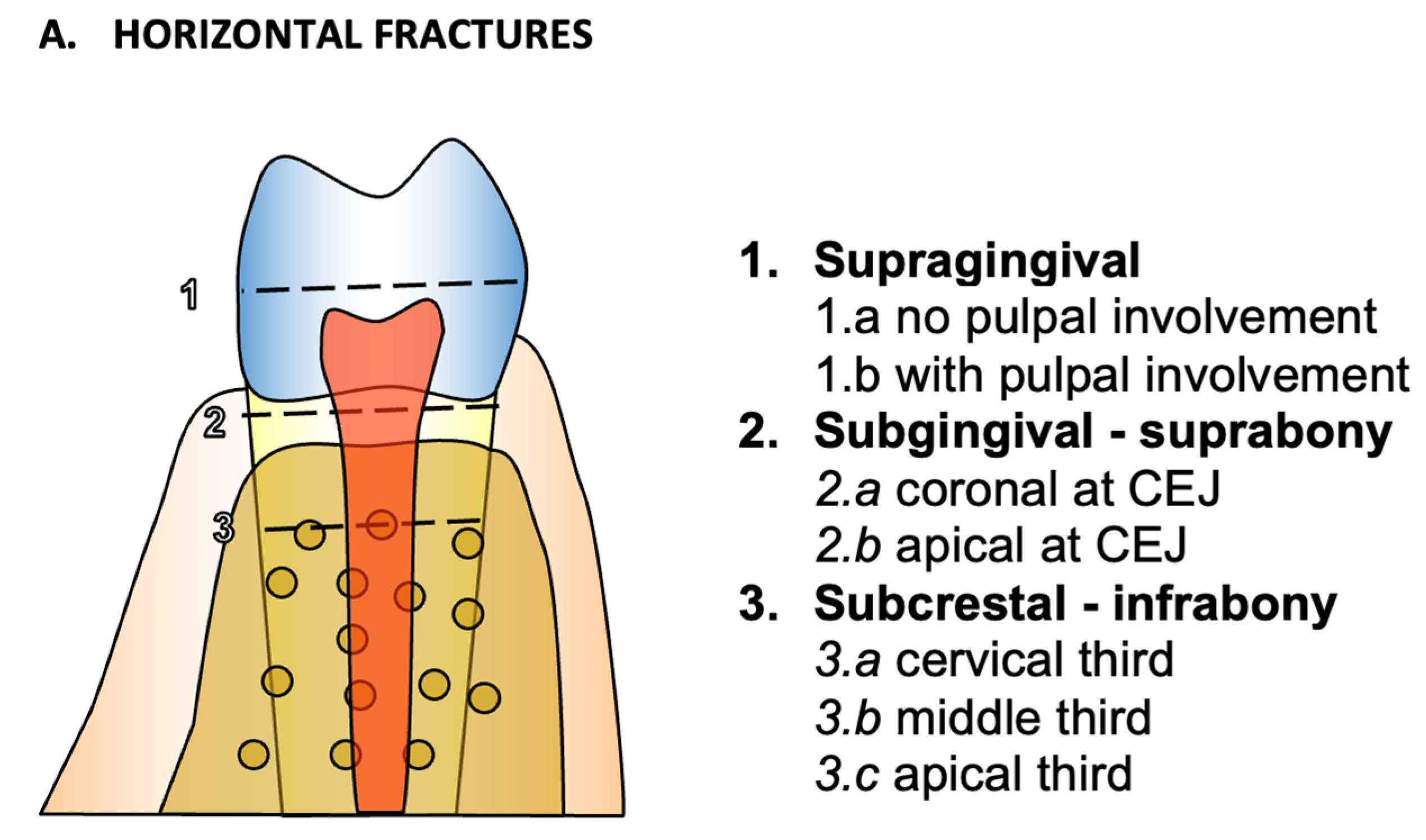 Applsci 14 11370 g001a
