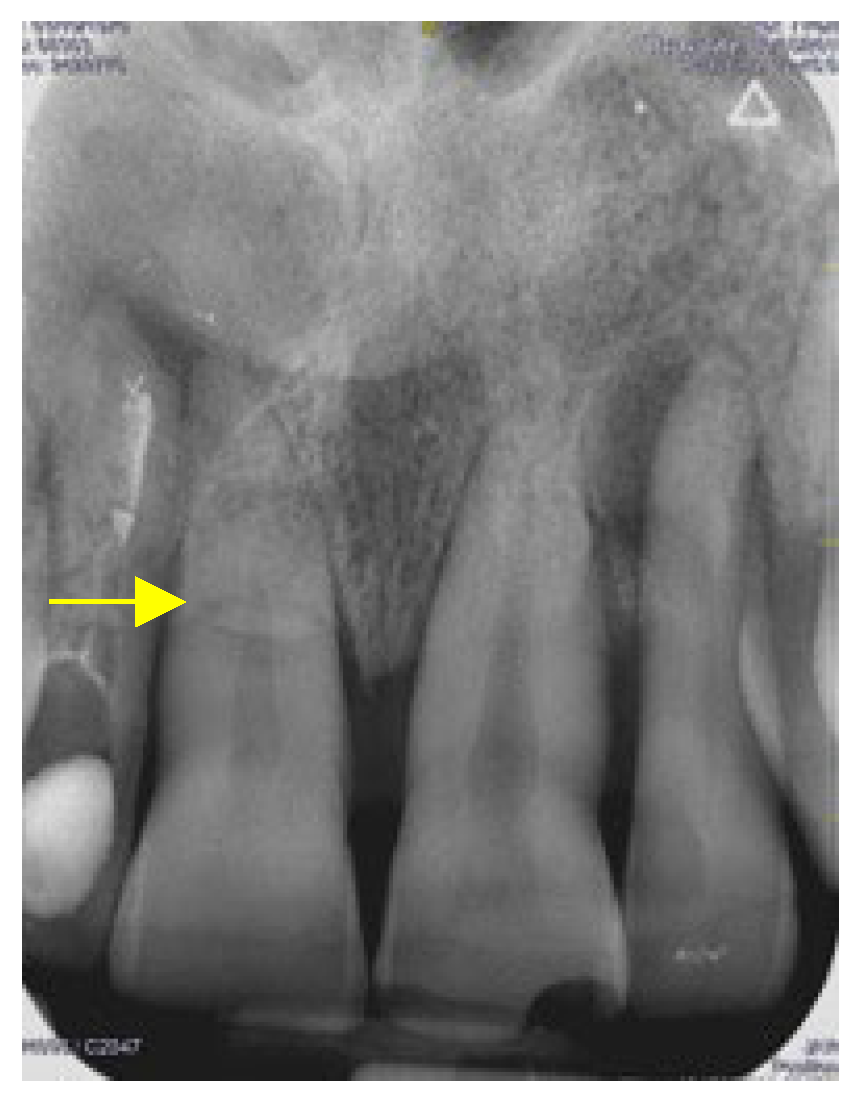 Applsci 14 11370 g003