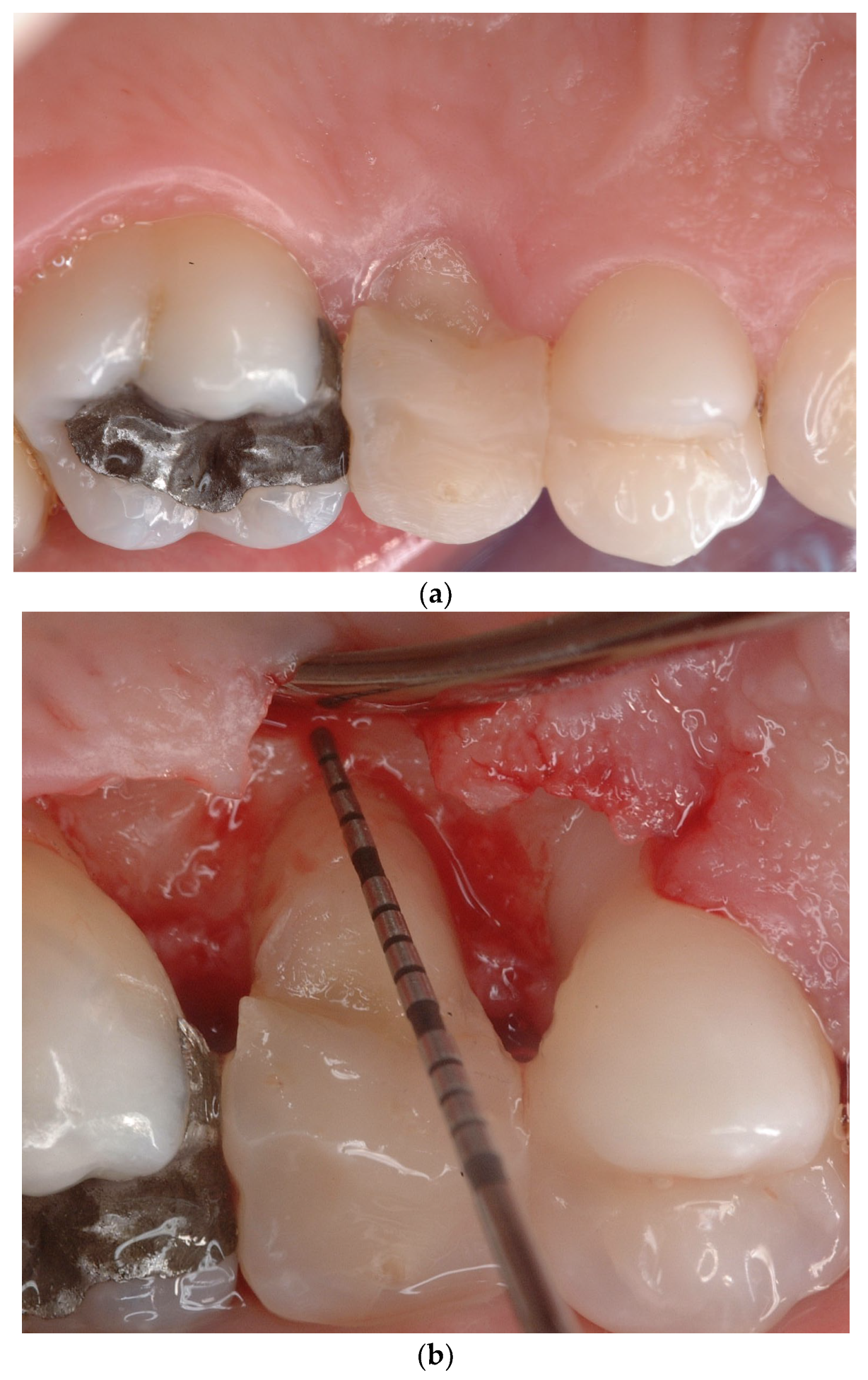 Applsci 14 11370 g007