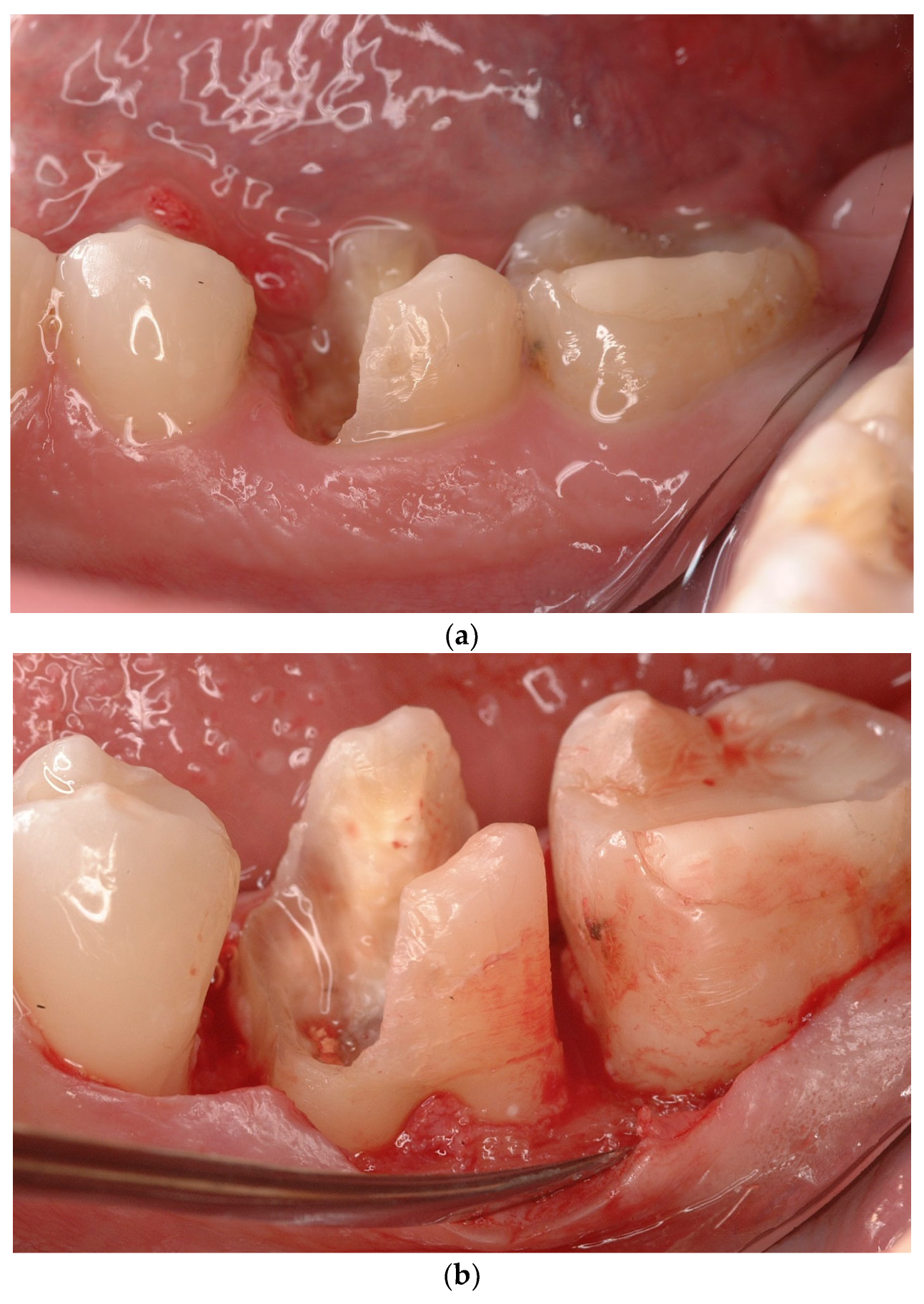 Applsci 14 11370 g008