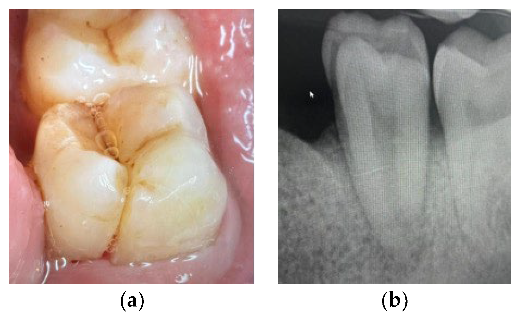 Applsci 14 11370 g009