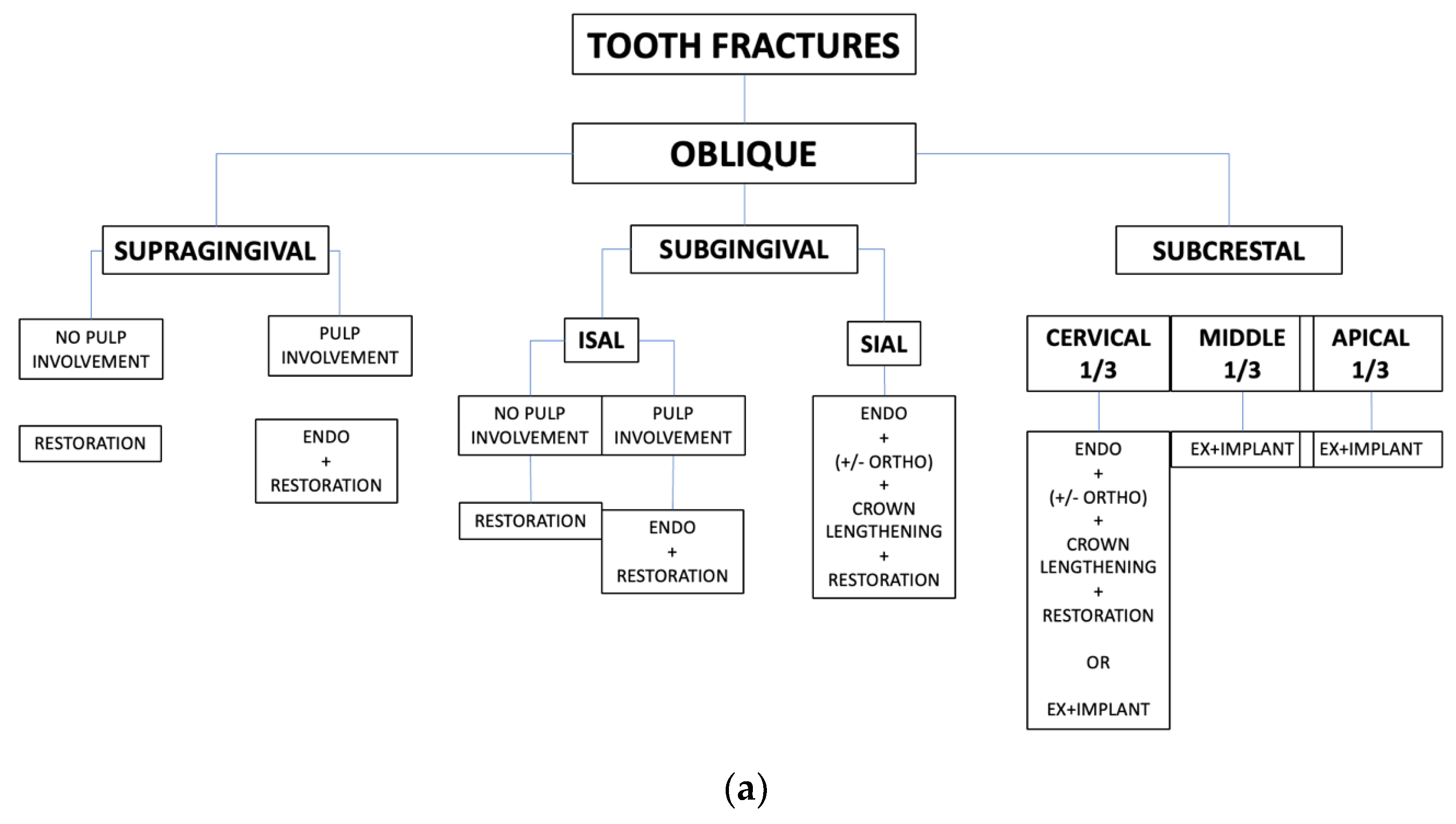 Applsci 14 11370 g010a