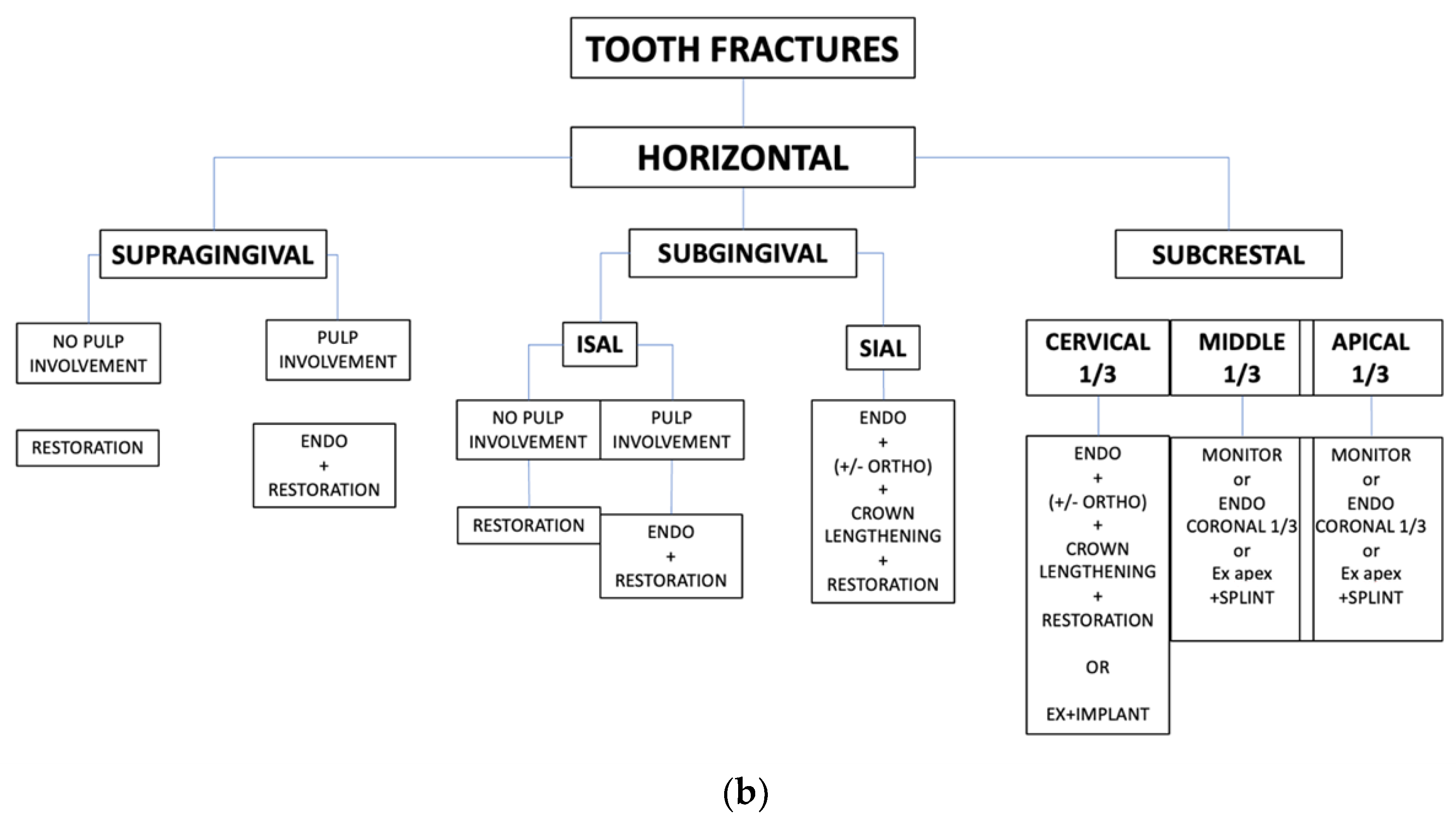 Applsci 14 11370 g010b