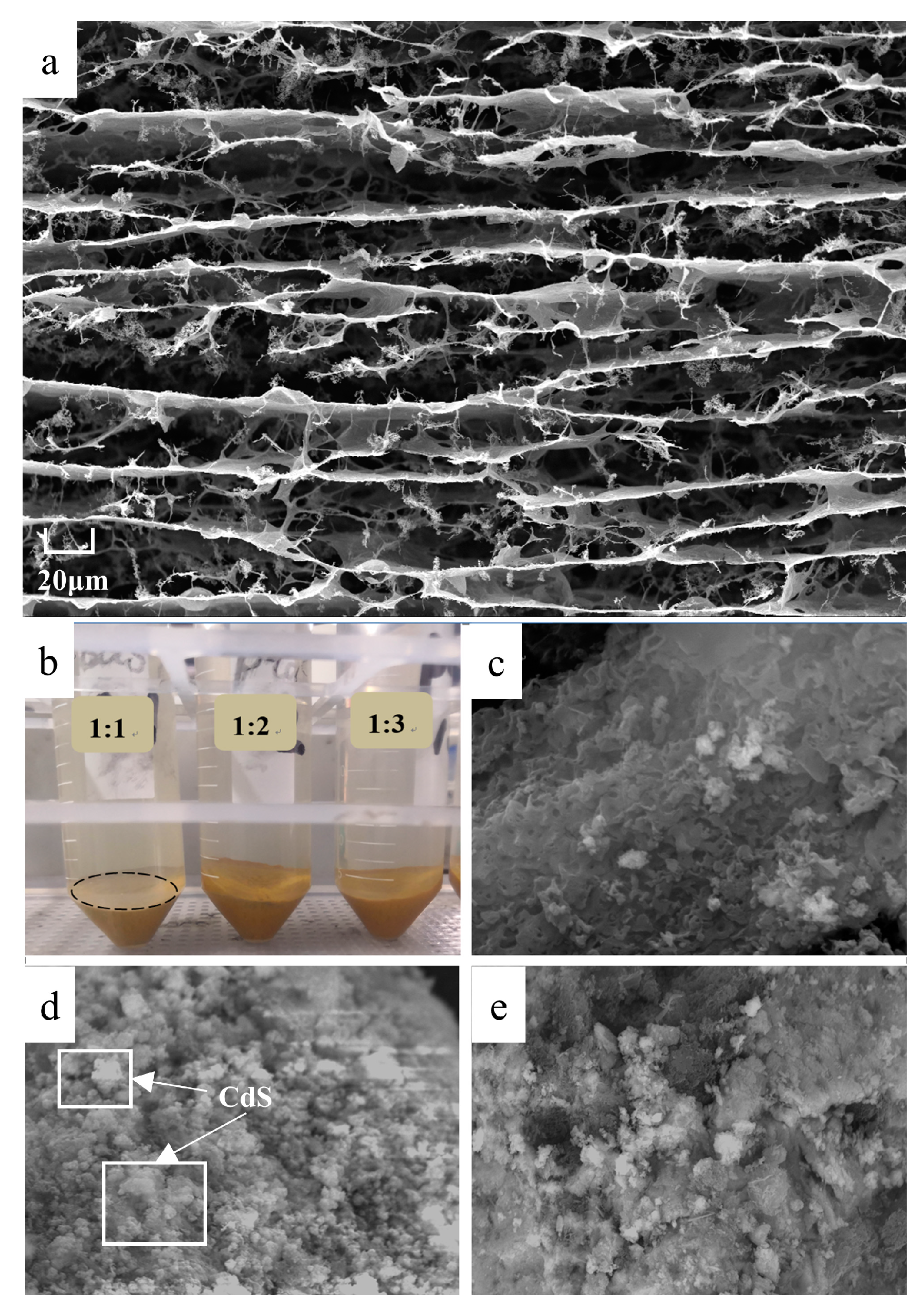 Applsci 14 11372 g003