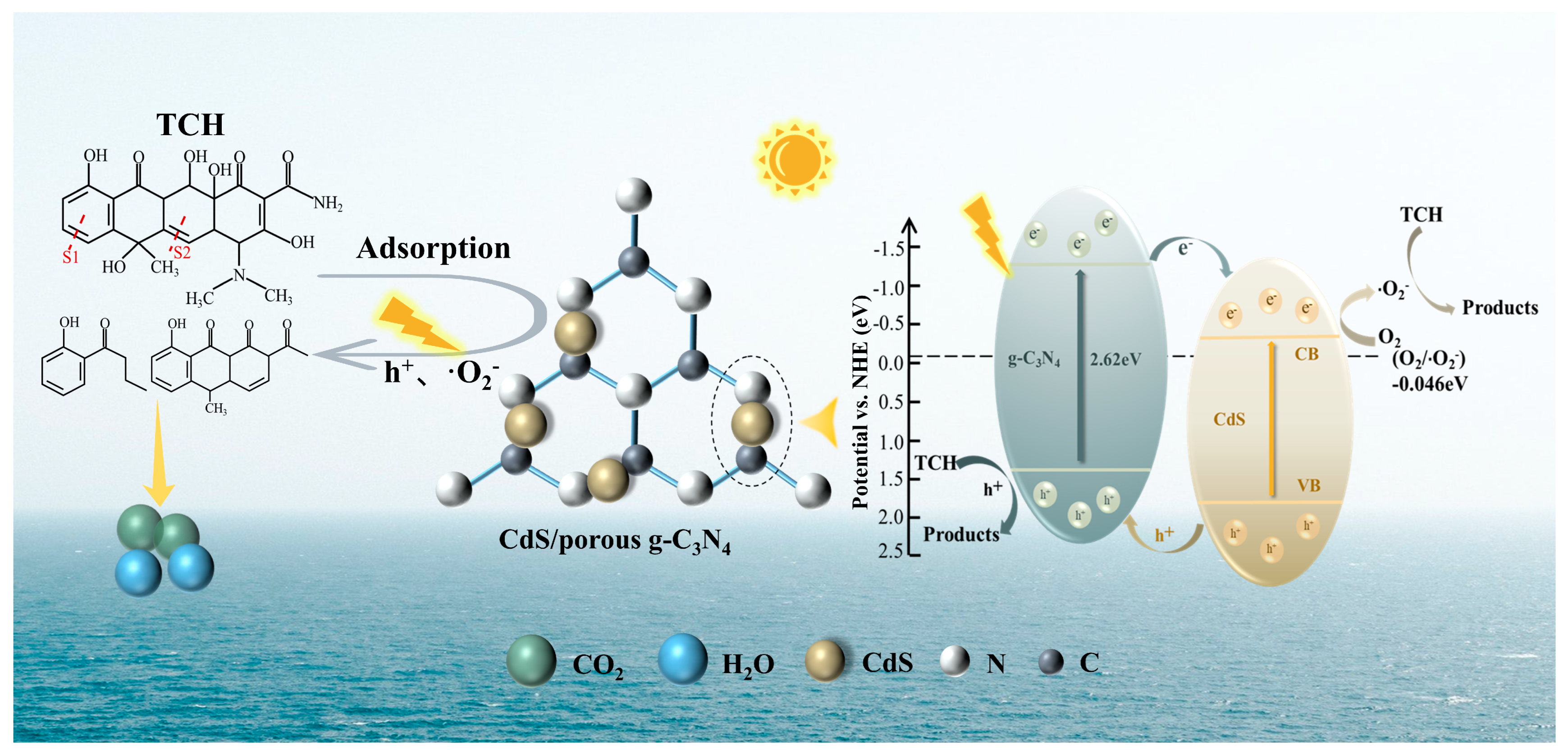 Applsci 14 11372 g012