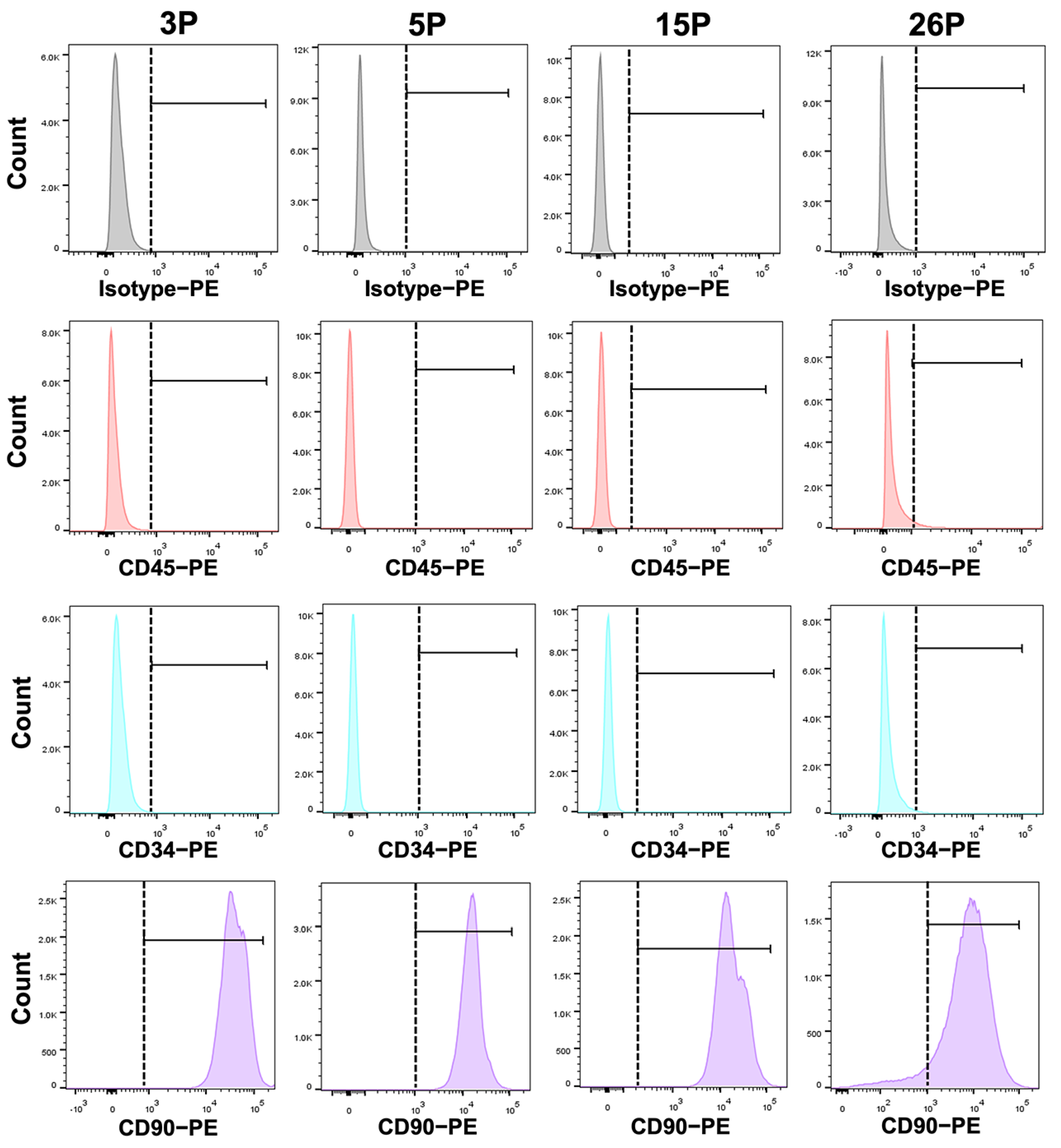 Applsci 14 11376 g002