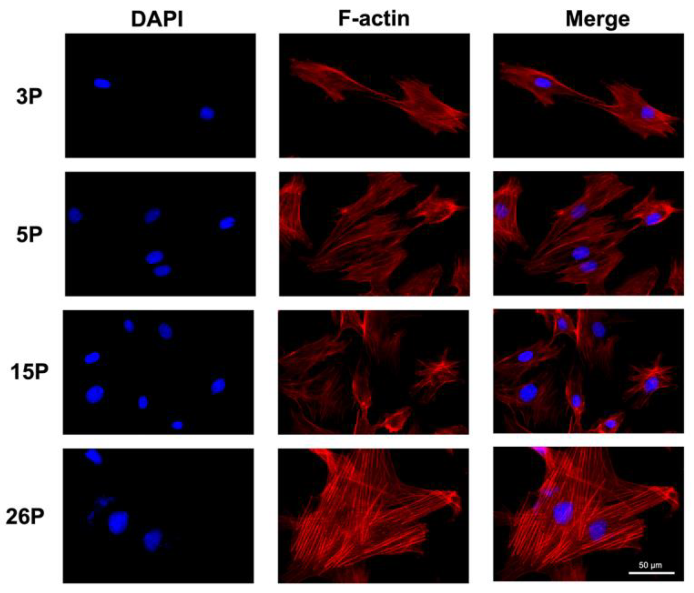 Applsci 14 11376 g004