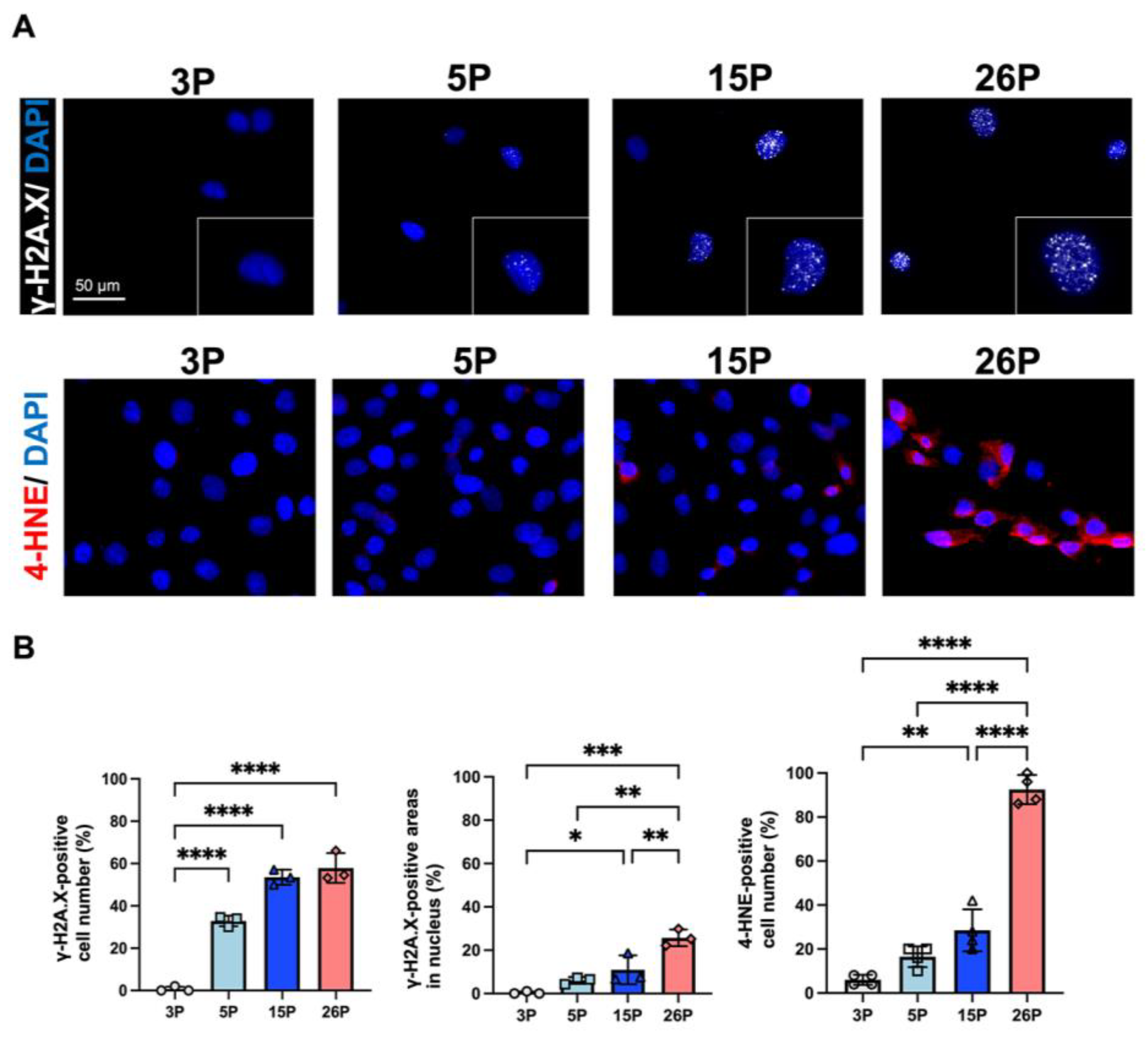 Applsci 14 11376 g005