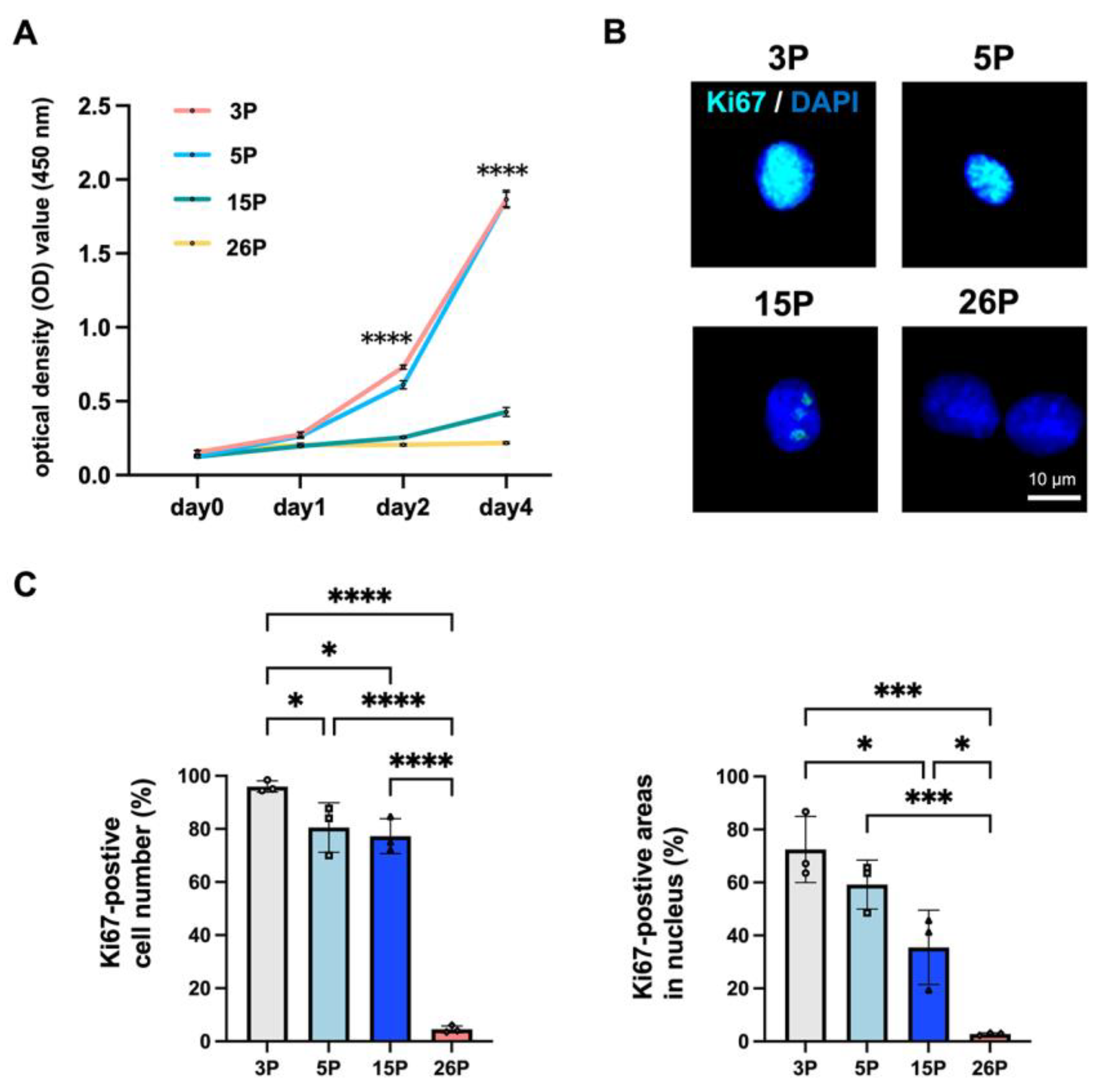 Applsci 14 11376 g006