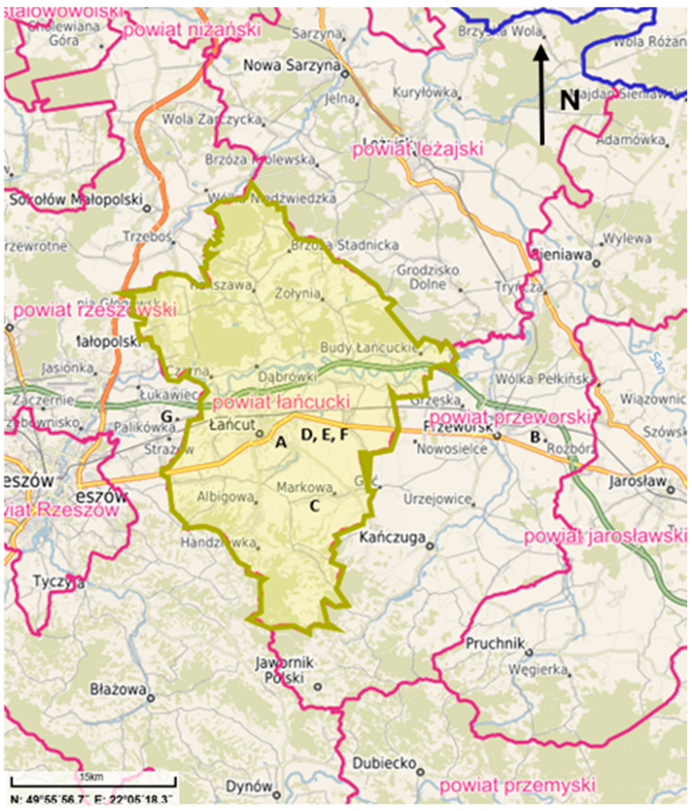 Applsci 14 11388 g001