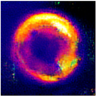 Applsci 14 11391 i010