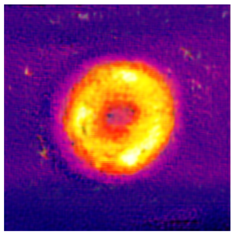 Applsci 14 11391 i012