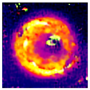 Applsci 14 11391 i013