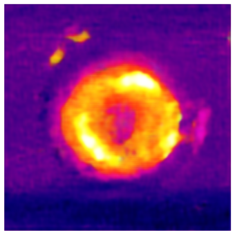 Applsci 14 11391 i021