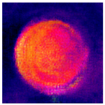 Applsci 14 11391 i026