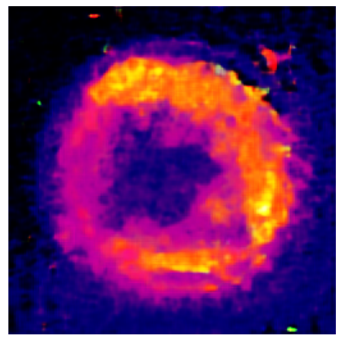 Applsci 14 11391 i028