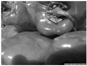 Applsci 14 11401 i002