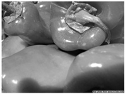 Applsci 14 11401 i003