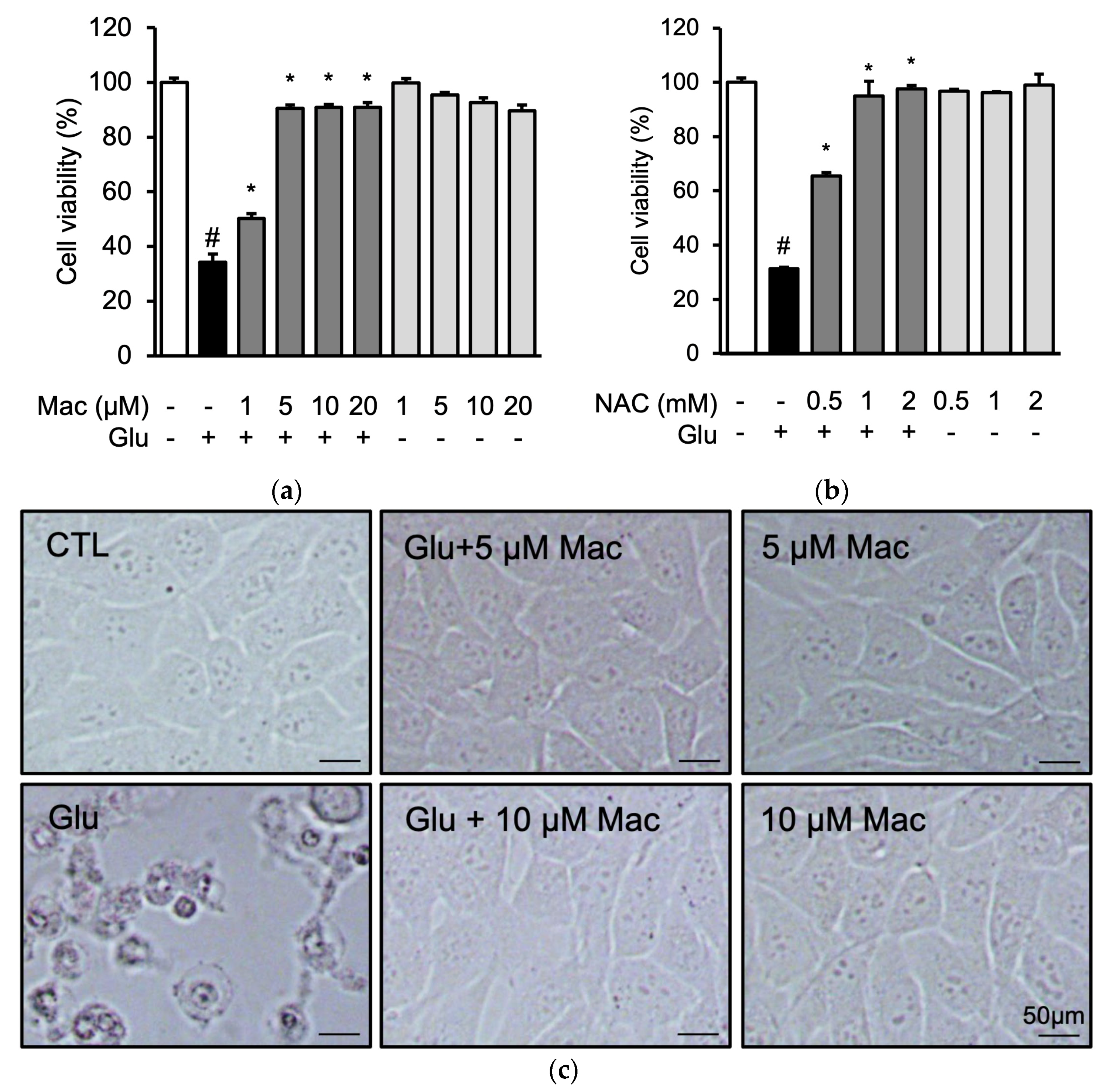 Applsci 14 11408 g002