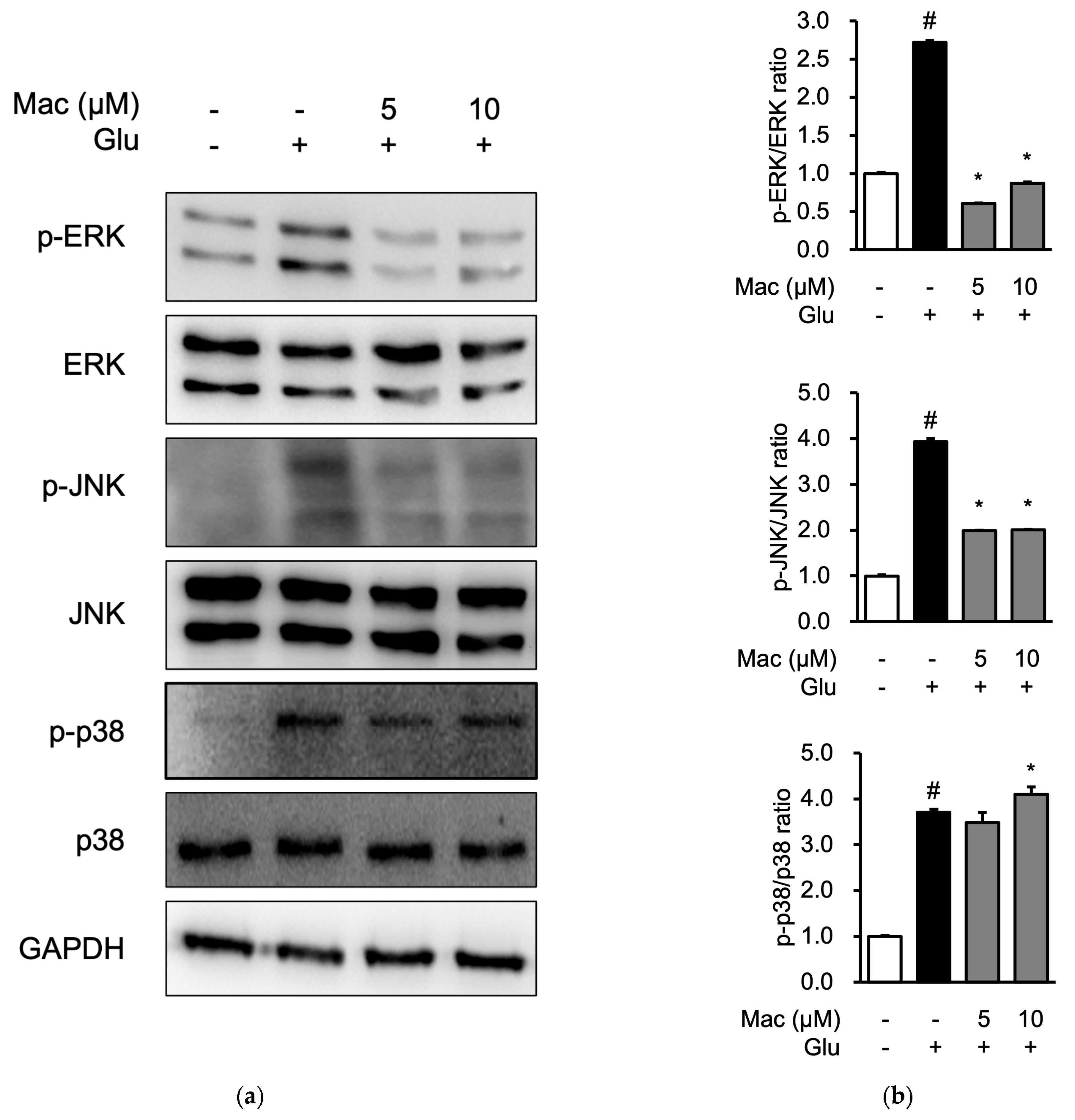 Applsci 14 11408 g005