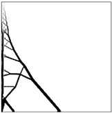 Applsci 14 11416 i033