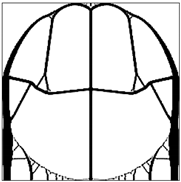 Applsci 14 11416 i045