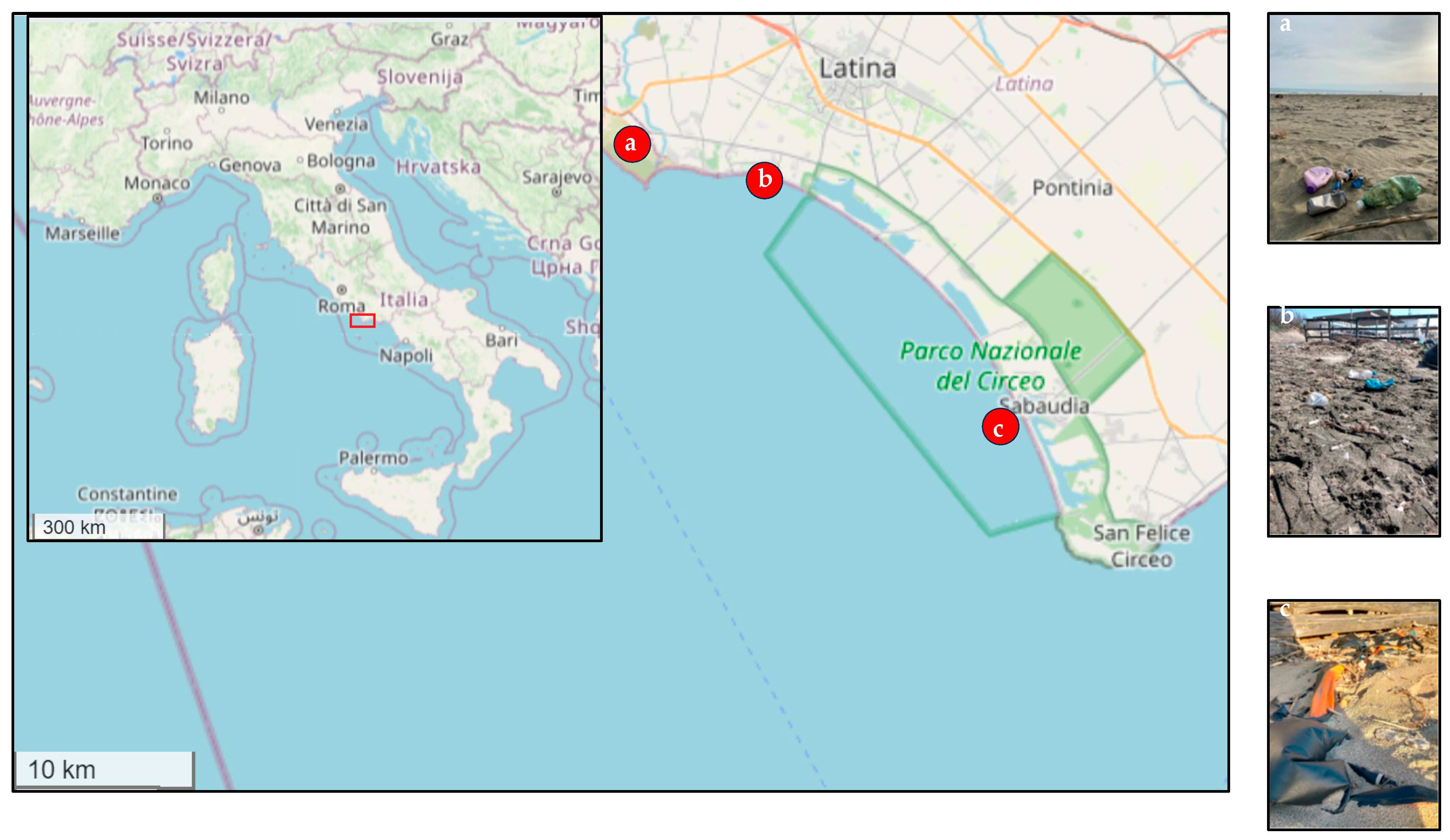 Applsci 14 11437 g001