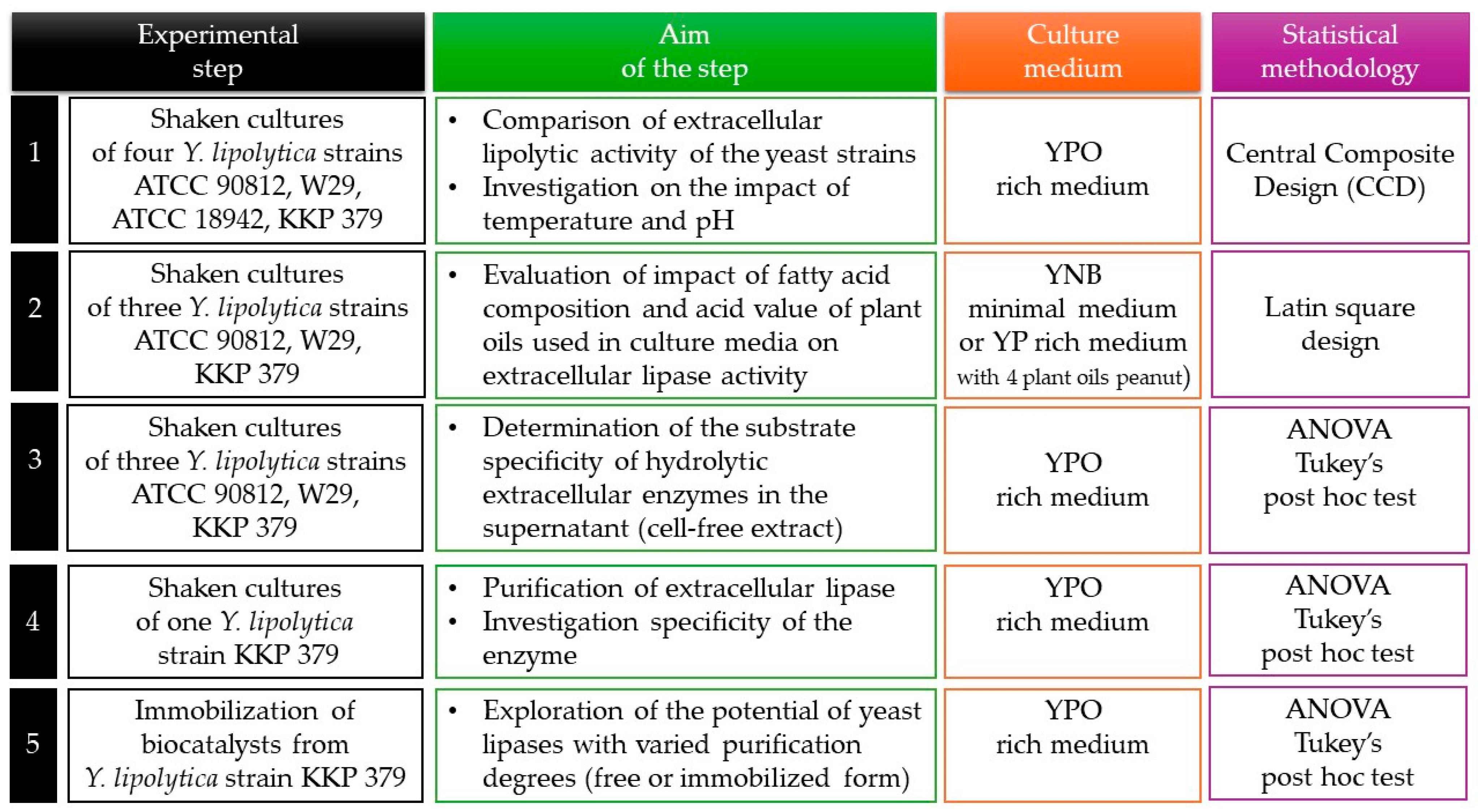 Applsci 14 11449 g001