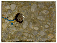 Applsci 14 11453 i001