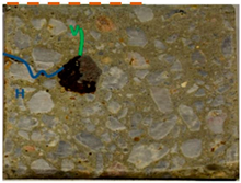 Applsci 14 11453 i002