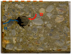 Applsci 14 11453 i005