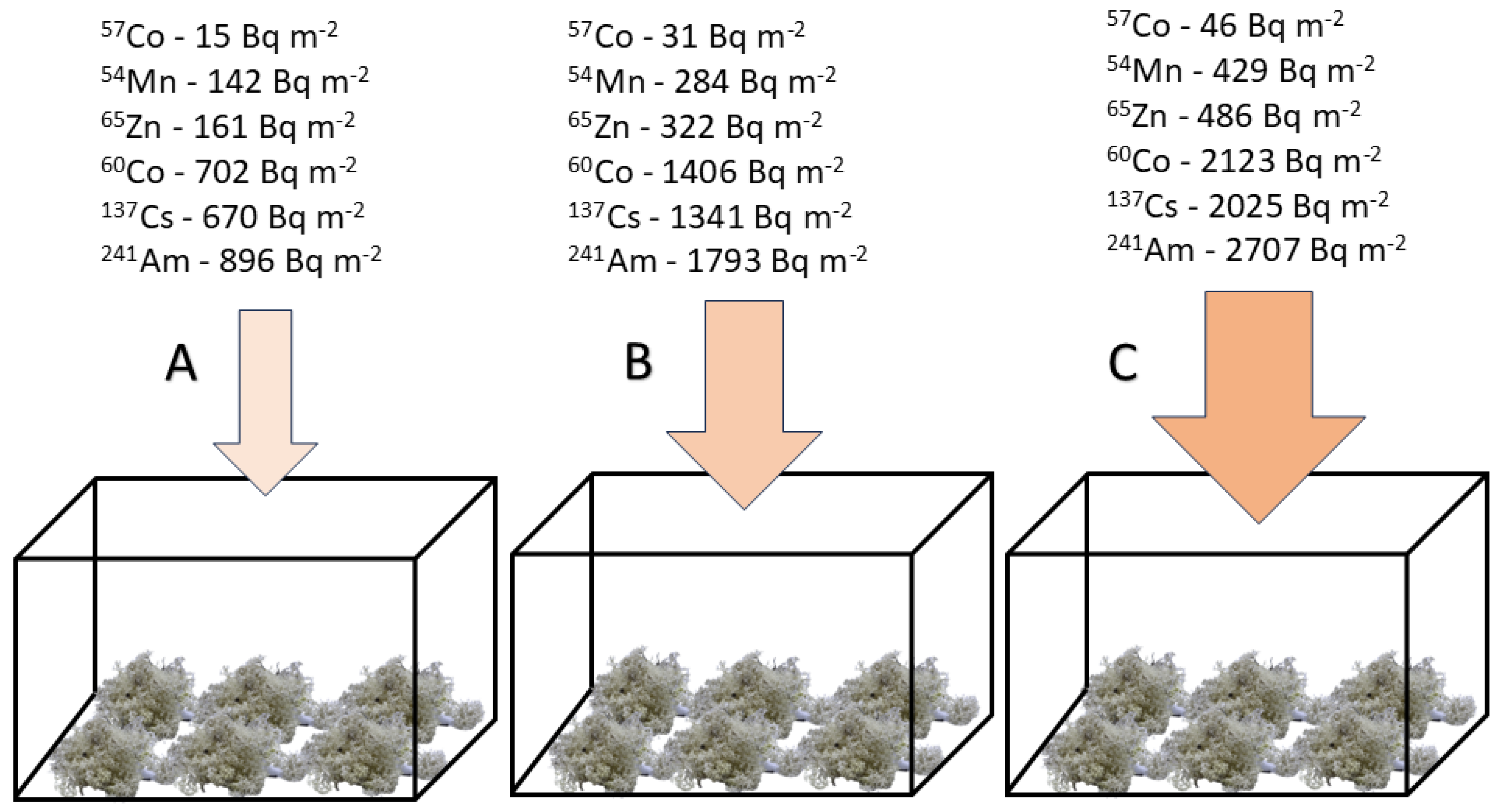 Applsci 14 11455 g001